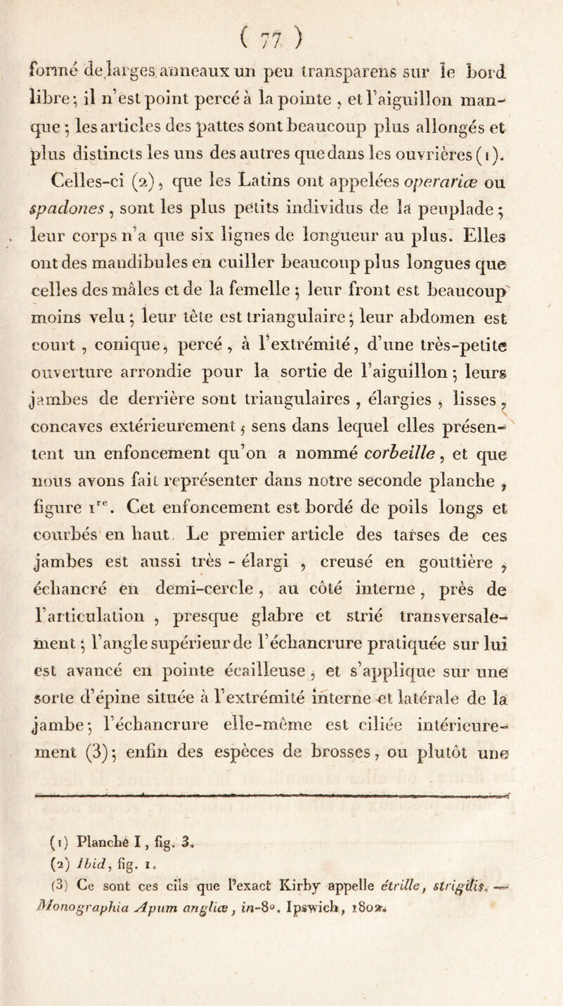 formé de,larges, anneaux un peu transparens sur le bord libre; il n’est point percé à la pointe , et l’aiguillon man- que ; les articles des pattes Sont beaucoup plus allongés et plus distincts les uns des autres que dans les ouvrières (i). Celles-ci (2), que les Latins ont appelées operariœ ou spaclones, sont les plus petits individus de là peuplade ; leur corps n’a que six lignes de longueur au plus. Elles ont des mandibules en cuiller beaucoup plus longues que celles des mâles et de la femelle ; leur front est beaucoup moins velu; leur tête est triangulaire; leur abdomen est court , conique, percé, à l’extrémité, d’une très-petite ouverture arrondie pour la sortie de l’aiguillon ; leurs jambes de derrière sont triangulaires , élargies , lisses 9 concaves extérieurement $ sens dans lequel elles présen- tent un enfoncement qu’on a nommé corbeille, et que nous avons fait représenter dans notre seconde planche , figure ire. Cet enfoncement est bordé de poils longs et courbés en haut. Le premier article des tarses de ces jambes est aussi très - élargi , creusé en gouttière ? échaneré en demi-cercle, au côté interne, près de l’articulation , presque glabre et strié transversale- ment ; l’angle supérieur de l’échancrure pratiquée sur lui est avancé en pointe écailleuse , et s’applique sur une sorte d’épine située à l’extrémité interne et latérale de là jambe; l’échancrure elle-même est ciliée intérieure- ment (3) ; enfin des espèces de brosses, ou plutôt une (1) Planché I, fig. 3. (2) Jbid, fig. 1. (3) Ce sont ces cils que l’exact Kirby appelle étrillet strigili^ Monographia Apum ongliœ, Ipswich, î8o».
