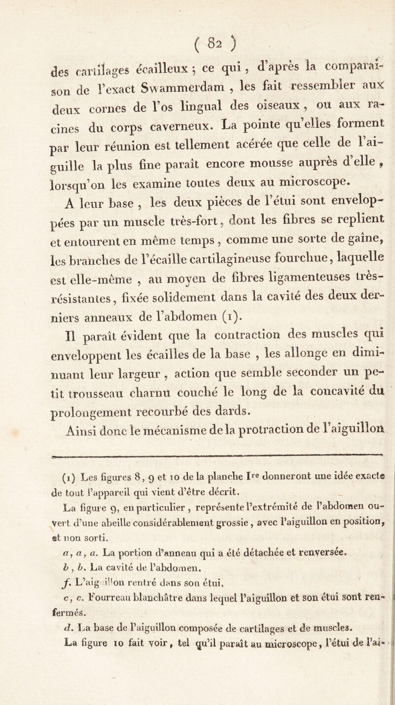 des cartilages écailleux *, ce qui , d’après la comparai- son de l’exact Swammerdam , les fait ressembler aux deux cornes de l’os lingual des oiseaux , ou aux ra- cines du corps caverneux. La pointe qu’elles forment par leur réunion est tellement acérée que celle de l’ai- guille la plus fine paraît encore mousse auprès d’elle , lorsqu’on les examine toutes deux au microscope. A leur base , les deux pièces de l’étui sont envelop- pées par un muscle très-fort, dont les fibres se replient, et entourent en même temps, comme une sorte de gaine, les branches de l’écaille cartilagineuse fourchue, laquelle est elle-même , au moyen de fibres ligamenteuses très- résistantes, fixée solidement dans la cavité des deux der- niers anneaux de l’abdomen (i). Il paraît évident que la contraction des muscles qui enveloppent les écailles de la base , les allonge en dimi- nuant leur largeur , action que semble seconder un pe- tit trousseau charnu couché le long de la concavité du prolongement recourbé des dards. Ainsi donc le mécanisme delà protraction de 1 aiguillon (i) Les figures 8,9 et 10 de la planche Ire donneront une idée exacte de tout l’appareil qui vient d’être décrit. La figure 9, en particulier , représente l’extrémité de l’abdomen ou- vert d’une abeille considérablement grossie, avec l’aiguillon en position, et non sorti. a, a, a. La portion d’anneau qui a été détachée et renversée. b , b. La cavité de l’abdomen, f. L’aig il'on rentré dans son étui. c, c. Fourreau blanchâtre dans lequel l’aiguillon et son étui sont reü» 1 fermés. d. La base de l’aiguillon composée de cartilages et de muscle3. La figure 10 fait voir, tel qu’il paraît au microscope, l’étui de l’ai-
