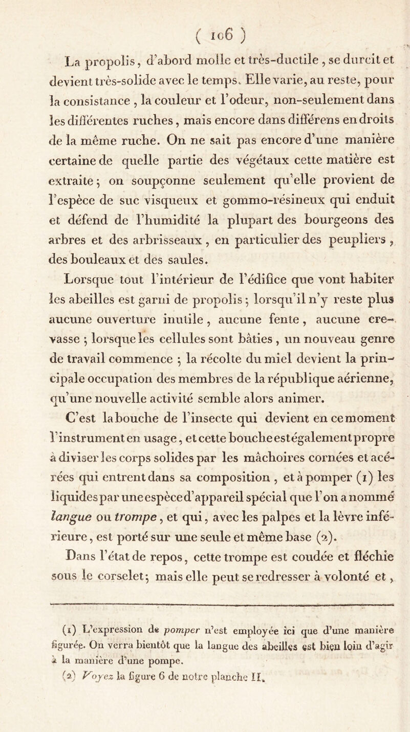 La propolis, d’abord molle et très-ductile , se durcit et devient très-solide avec le temps^ Elle varie, au reste, pour la consistance , la couleur et l’odeur, non-seulement dans les différentes ruches, mais encore dans différons endroits de la même ruche. On ne sait pas encore d’une manière certaine de quelle partie des végétaux cette matière est extraite ; on soupçonne seulement qu’elle provient de l’espèce de suc visqueux et gommo-résineux qui enduit et défend de l’humidité la plupart des bourgeons des arbres et des arbrisseaux , en particulier des peupliers , des bouleaux et des saules. Lorsque tout F intérieur de l’édifice que vont habiter les abeilles est garni de propolis -, lorsqu’il n’y reste plus aucune ouverture inutile , aucune fente, aucune cre- vasse -, lorsque les cellules sont bâties , un nouveau genre de travail commence 5 la récolte du miel devient la prin^ cipale occupation des membres de la république aérienne, qu’une nouvelle activité semble alors animer. 1. C’est la bouche de l’insecte qui devient en ce moment F instrument en usage, et cette bouche estégalement propre â diviser les corps solides par les mâchoires cornées et acé- rées qui entrent dans sa composition , et à pomper (1) les liquides par une espèce d’appareil spécial que F on a nommé langue ou trompe, et qui, avec les palpes et la lèvre infé- rieure , est porté sur une seule et même base (2). Dans l’état de repos, cette trompe est coudée et fléchie sous le corselet-, mais elle peut se redresser à volonté et, (1) L’expression de pomper n’est employée ici que d’une manière figuré^. On verra bientôt que la langue des abeilles est bien loin d’agir à la manière d’une pompe. (a) Voyez la figure 6 de notre planche IL