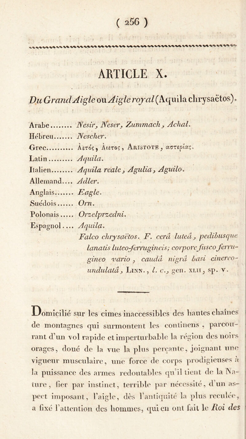 ARTICLE X. Du Grand Aigle ou Aigle royal(h. quila clirysaëtos), * ÿ'. I j Arabe Hébreu Grec ... Latin Italien Allemand.... Anglais Suédois Polonais Espagnol.... Nesir, Neser, Zummach, Achal. Nescher. Âstoç, Àtsroç, Aristote, aoreptaç, Aquila reale, A gu lia, Aguilo. Adler. Fagle. Orn. Orzelprzedni. Falco chrysaëtos. F. cerâ luteâ, pedibusque lanatis luteo-ferrugineis; corpore fusco Jerru- gineo varia , caudâ nigrâ basi cinereo- undulatâ, Linn., I. c., gen. xlii, sp. y» Domicilié sur les cimes inaccessibles des hautes chaînes de montagnes qui surmontent les continens , parcou- rant d’un vol rapide et imperturbable la région des noirs orages, doué de la vue la plus perçante, joignant une vigueur musculaire, une force de corps prodigieuses à la puissance des armes redoutables qu’il tient de la Na- ture , lier par instinct, terrible par nécessité, d’un as- pect imposant, l’aigle, dès l’antiquité la plus reculée, a fixé P attention, des hommes, qui en ont lait le Roi des