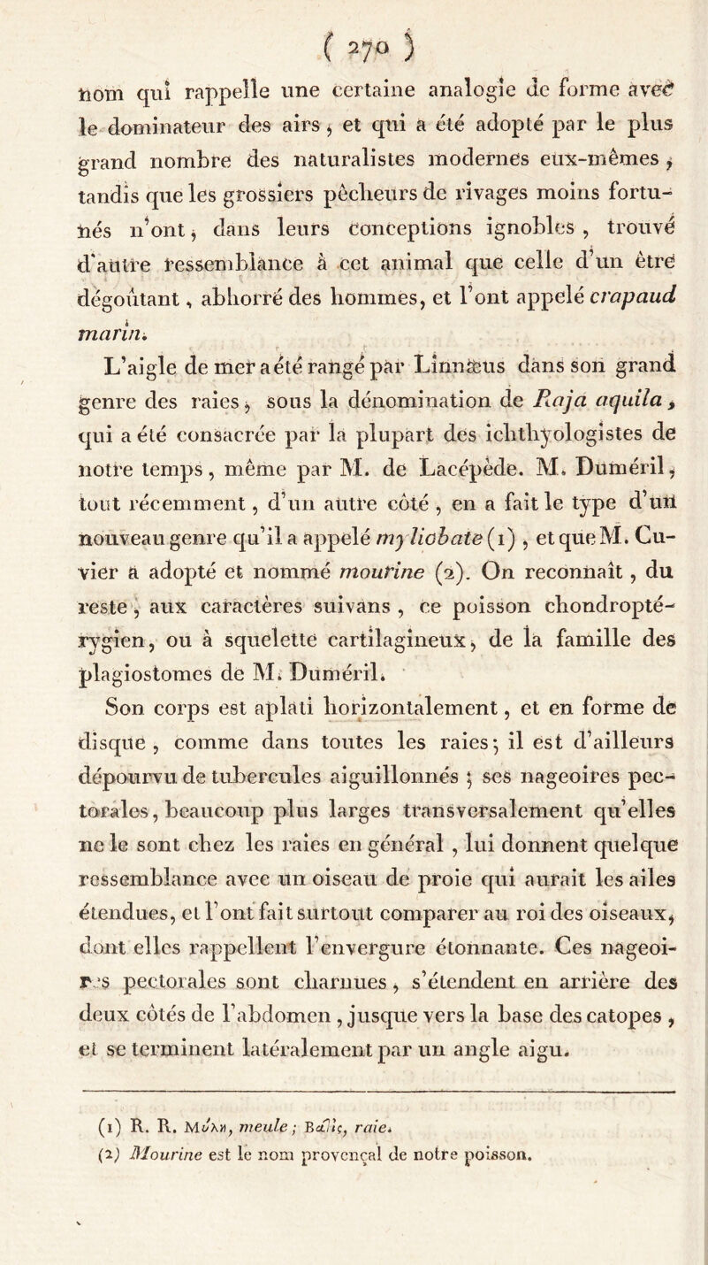 ( * 27° 3 tiom qui rappelle une certaine analogie de forme aved le dominateur des airs , et qui a été adopté par le plus grand nombre des naturalistes modernes eux-mêmes j tandis que les grossiers pêcheurs de rivages moins fortu- nés n’ont , dans leurs Conceptions ignobles , trouvé d'aütre ressemblance à cet animal que celle d’un être dégoûtant, abhorré des hommes, et l’ont appelé crapaud marin. L’aigle de mer a été rangé par Linnfeus dans son grand genre des raies , sous la dénomination de Raja aquiia , qui a été consacrée par la plupart des ichthyologistes de notre temps, même par M. de Lacépède. M. Duméril, tout récemment, d’un autre côté , en a fait le type d’ttii nouveau genre qu’il a appelé myliobaie (i) , et que M. Cu- vier a adopté et nommé mourine (2). On reconnaît, du reste, aux caractères suivans , ce poisson chondropté- rygien, ou à squelette cartilagineux, de la famille des plagiostomes de M. Diiméril. Son corps est aplati horizontalement, et en forme de disque, comme dans toutes les raies-, il est d’ailleurs dépourvu de tubercules aiguillonnés ; ses nageoires pec- torales, beaucoup plus larges transversalement qu’elles ne le sont chez les raies en général , lui donnent quelque ressemblance avec un oiseau de proie qui aurait les ailes étendues, et l’ont fait surtout comparer au roi des oiseaux, dont elles rappellent l’envergure étonnante. Ces nageoi- re pectorales sont charnues, s’étendent en arrière des deux côtés de l’abdomen , jusque vers la base des catopes , et se terminent latéralement par un angle aigu. (0 R. R. meule; Balte, raie*