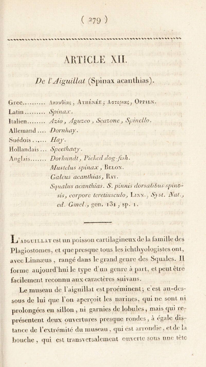 •%/'%'*,•%.-V'V-V^fc. ■%■% ARTICLE De U Aiguillai (Spinax acanthias). Grec AxavGtag , Àthenéej Aorepiaç, Oppien. Lali 11 Spinax. Italien Azio , JguzeO j Scazone j Spinello. Allemand.... Dornhaf. Suédois H aj\ Hollandais... Speethaaj. Anglais Dorliundlj Pieked clog-fish. Mus teins spinax y Belon. Galeus acanthias , Ray. Squalus acanthias. A. pituiis dorsal/bus spino- corpore tereliusculoy Linn.; JSaL> cd. Gmel.j, gen. 131 ; sp. i. L aiguillât est un poisson cartilagineux de la famille des Plagiostomes, et quepresque tous les ichthyologistes ont, avec Linnæus , rangé dans le grand genre des Squales. Il forme aujourd’hui le type d’un genre à part, et peut être facilement reconnu aux caractères suivans. Le museau de Laiguillat est proéminent; c est au-des- sous de lui que Ton aperçoit les narines, qui ne sont ni prolongées en sillon , ni garnies de lobules, mais qui re- présentent deux ouvertures presque rondes, à égale dis- tance de l’extrémité du museau , qui est arrondie , et de la bouche , qui est transversalement ouverte sous une tetc i