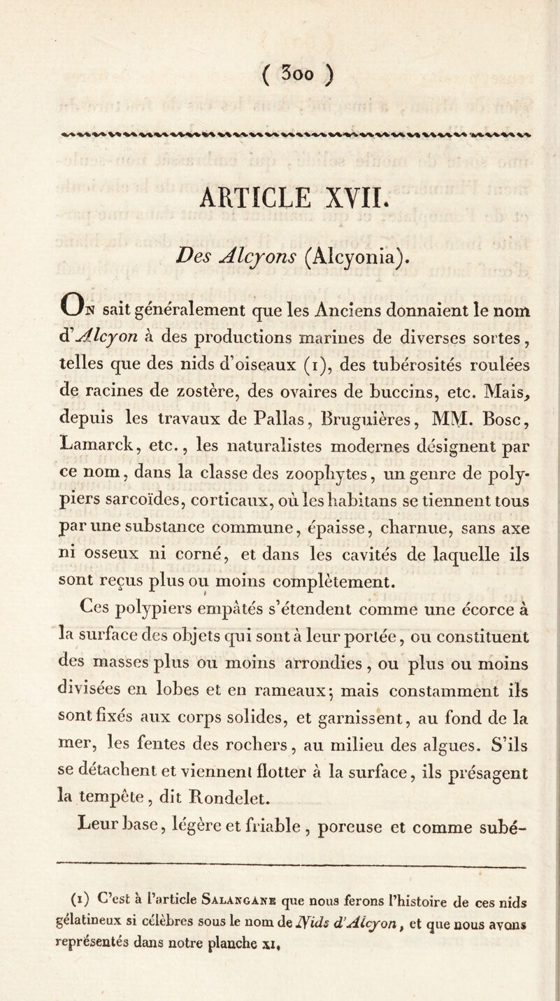 ARTICLE XVII. Des Alcyons (Alcyonia). On sait généralement que les Anciens donnaient le nom Alcyon à des productions marines de diverses sortes, telles que des nids d’oiseaux (i), des tubérosités roulées de racines de zostère, des ovaires de buccins, etc. Mais^ depuis les travaux dePallas, Bruguières, MM. Bosc, Lamarck, etc., les naturalistes modernes désignent par ce nom, dans la classe des zoopîiytes, un genre de poly- piers sarcoïdes, corticaux, où les habitans se tiennent tous par une substance commune, épaisse, charnue, sans axe ni osseux ni corné, et dans les cavités de laquelle ils sont reçus plus ou moins complètement. Ces polypiers empâtés s’étendent comme une écorce à la surface des objets qui sont à leur portée, ou constituent des masses plus ou moins arrondies, ou plus ou moins divisées en lobes et en rameaux*, mais constamment ils sont fixés aux corps solides, et garnissent, au fond de la mer, les fentes des rochers, au milieu des algues. S’ils se détachent et viennent flotter à la surface, ils présagent la tempête, dit Rondelet. Leur base, légère et friable , poreuse et comme subé- (i) C’est à l’article Salangane que nous ferons l’histoire de ces nids gélatineux si célèbres sous le nom delYids d’Alcyon, et que nous ayons représentés dans notre planche xi,