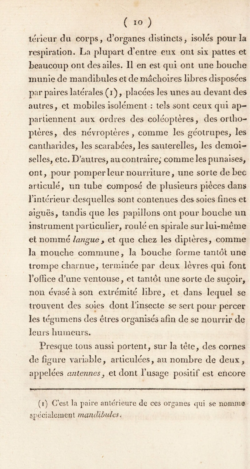 teneur du corps, d’organes distincts, isoles pour la respiration. La plupart d’entre eux ont six pattes et beaucoup ont des ailes. Il en est qui ont une bouche munie de mandibules et de mâchoires libres disposées par paires latérales (i), placées les unes au devant des autres, et mobiles isolément : tels sont ceux qui ap- partiennent aux ordres des coléoptères, des ortho- ptères, des névroptères, comme les géotrupes, les cantharides, les scarabées, les sauterelles, les demoi- selles, etc. D’autres, au contraire; comme les punaises, ont, pour pomper leur nourriture, une sorte de bee articulé, un tube composé de plusieurs pièces dans l’intérieur desquelles sont contenues des soies fines et aiguës, tandis que les papillons ont pour bouche un instrument particulier, roulé en spirale sur lui-même et nommé langue > et que chez les diptères, comme îa mouche commune, la bouche forme tantôt une i trompe charnue, terminée par deux lèvres qui font l’office d’une ventouse, et tantôt une sorte de suçoir, non évasé à son extrémité libre, et dans lequel se trouvent des soies dont l’insecte se sert pour percer les tégurnens des êtres organisés afin de se nourrir de leurs humeurs. Presque tous aussi portent, sur îa tête, des cornes de figure variable, articulées, au nombre de deux, appelées antennes, et dont l’usage positif est encore (i) C’est la paire anterieure de ces organes qui se nomme spécialement mandibules,