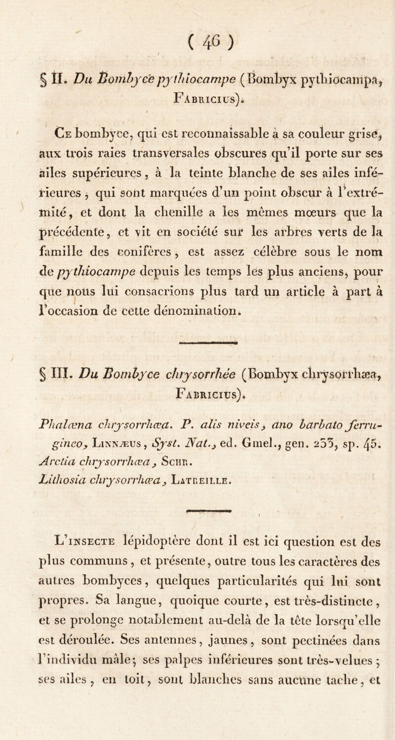 § II. Du Bombjcëpjthiocampe (Bombyx pythiocampa, Fabricius). Ce bombvce, qui est reconnaissable à sa couleur grise, aux trois raies transversales obscures qu’il porte sur ses ailes supérieures , à la teinte blanche de ses ailes infé- rieures ? qui sont marquées d’un point obscur à F extré- mité, et dont la chenille a les memes mœurs que la précédente, et vit en société sur les arbres verts de la famille des conifères , est assez célèbre sous le nom de pythiocampe depuis les temps les plus anciens, pour que nous lui consacrions plus tard un article à part à l’occasion de cette dénomination. § III. Du Bombyce chrysorrliée (Bombyx chrysorrliæa, Fabriciüs). Pliai œna chrysorrliæa. P. alis niveis > ano barbato Jerru- gineOy Linnæus, Syst. Nat.j ed. Gmel., gen. 255, sp. 45. Arctia chrysorrliæa ; Schr. Lithosia chrysorrliæaLatceille. L’insecte lépidoptère dont il est ici question est des plus communs , et présente, outre tous les caractères des autres bombyees, quelques particularités qui lui sont propres. Sa langue, quoique courte, est très-distincte, et se prolonge notablement au-delà de la tête lorsqu’elle est déroulée. Ses antennes, jaunes, sont pectinées dans l’individu mâle*, ses palpes inférieures sont très-velues ; ses ailes , en toit, sont blanches sans aucune tache, et