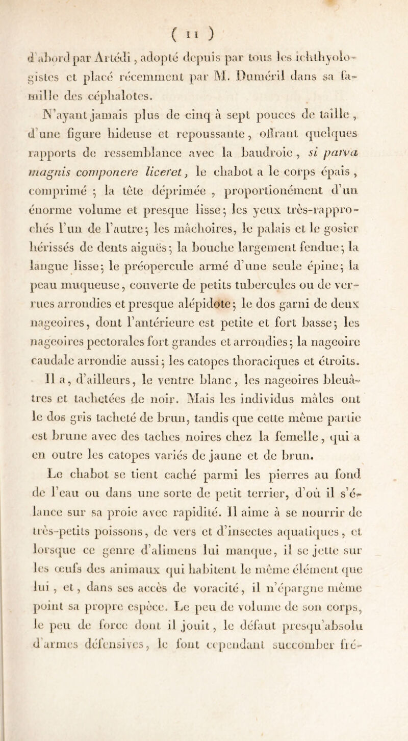 d abord par Àrlédî, adopté depuis par tous les iclilliyolo- gîstes et placé récemment par M. Duméril dans sa fa- mille des cép halo tes. JN ayant jamais plus de cinq à sept pouces de taille, dune figure hideuse et repoussante, offrant quelques rapports de ressemblance avec la baudroie , si paivci magnis componere lie et et -, le chabot a le corps épais, comprimé -, la tète déprimée , proportionément d’un énorme volume et presque lisse$ les yeux très-rappro- cliés l’un de l’autre', les mâchoires, le palais et le gosier hérissés de dents aigues*, la bouche largement fendue*, la langue lisse: le préopercule armé d’une seule épine} la peau muqueuse, couverte de petits tubercules ou de ver- rues arrondies et presque alépidote j le dos garni de deux nageoires, dont l’antérieure est petite et fort basse5 les nageoires pectorales fort grandes et arrondies 5 la nageoire caudale arrondie aussi 5 les catopes thoraciques et étroits. 11 a, d’ailleurs, le ventre blanc, les nageoires bleuâ- tres et tachetées de noir. Mais les individus mâles ont le dos gris tacheté de brun, tandis que cette même partie est brune avec des taches noires chez la femelle, qui a en outre les catopes variés de jaune et de brun. Le chabot se tient caché parmi les pierres au fond de 1’ eau ou dans une sorte de petit terrier, d’où il s’é<- lance sur sa proie avec rapidité. 11 aime à se nourrir de très-petits poissons, de vers et d’insectes aquatiques, et lorsque ce genre d’alimens lui manque, il se jette sur les eculs des animaux qui habitent le meme élément que lui , et, dans ses accès de voracité, il 11’épargne meme point sa propre espèce. Le peu de volume de son corps, le peu de force dont il jouit, le défaut presqu absolu d’armes défensives, le font cependant succomber fié-