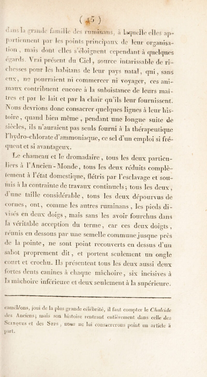 ‘ ,rj i,( gianac lamme des ruminans, a Laque!Le elles ap~ pariic-niieiif. par les points principaux de leur organisa» ti°n , mais dont elles s’éloignent cependant à quelques égards. \ rai présent du Ciel , source intarissable de ri» ebesses pour les habitans de leur pays natal, qui, sans < nx, ne pourraient ni commercer ni voyager, ces ani- maux contribuent encore à la subsistance de leurs mai- o es et par le lait et par la chair qu’ils leur fournissent» Nous devrions clone consacrer quelques lignes â leur bis- tmrc, quand bien meme , pendant une longue suite de ucelés, ils n auraient pas seuls fourni â la thérapeutique î hydro-chlorate d’ammoniaque, ce sel d’un emploi si fré- quent et si avantageux. Le chameau et le dromadaire , tous les deux particu- liers a 1 Ancien-Monde, tous les deux réduits complè- tement a 1 état domestique, flétris par l’esclavage et sou- mis à la contrainte de travaux continuels ; tous les deux, d’une taille considérable, tous les deux dépourvus de < ornes, ont, comme les autres ruminans , les pieds di- \Ces en deux doigs , mais sans les avoir fourchus dans la rentable acception du terme, car ces deux doigts, h unis en dessous par une semelle commune jusque près de la pointe, ne sont point recouverts en dessus d’un sabot proprement dit, et portent seulement un ongle court et crochu. Ils présentent tous les deux aussi deux flirtes dents canines à chaque mâchoire, six incisives à la mâchoire inférieure et deux seulement à la supérieure. taméleons, joui de la plus grande célébrité, il faut compter le Chcilcide d<\-> Anciens • mais son histoire rentrant entièrement dans celle des Sciivqües et des Seps , nous ne lui consacrerons point un article à part.