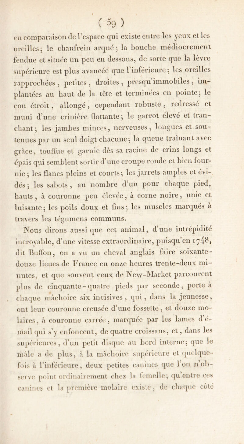 eu comparaison de l’espace qui existe entre les yeux et les oreilles; le chanfrein arqué; la bouche médiocrement fendue et située un peu en dessous, de sorte que la lèvre supérieure est plus avancée que 1 inférieure ; les oreilles rapprochées , petites , droites , presqu immobiles , im- plantées au haut de la tète et terminées en pointe; le cou étroit , allongé, cependant robuste , redressé et muni d’une crinière flottante; le garrot élevé et tran- chant; les jambes minces, nerveuses, longues et sou- tenues par un seul doigt chacune; la queue tramant avec grâce, touffue et garnie dès sa racine de crins longs et épais qui semblent sortir d’une croupe ronde et bien four- nie ; les flancs pleins et courts; les jarrets amples et évi- dés ; les sabots , au nombre d’un pour chaque pied, hauts , à couronne peu élevée, à corne noire, unie et luisante; les poils doux et fins; les muscles marques à travers les tégumens communs. Nous dirons aussi que cet animal, d’une intrépidité incroyable, d’une vitesse extraordinaire, puisqu en dit Buffon, on a vu un cheval anglais faire soixante- douze lieues de France en onze heures trente-deux mi- nutes, et que souvent ceux de New-Market parcourent plus de cinquante-quatre pieds par seconde, porte à chaque mâchoire six incisives, qui, dans la jeunesse, ont leur couronne creusée d’une fossette, et douze mo- laires, à couronne carrée, marquée par les lames d’é- mail qui s’y enfoncent, de quatre croissans, et, dans les supérieures, d’un petit disque au bord interne; que le mâle a de plus, â la mâchoire supérieure et quelque- fois à l’inférieure, deux petites canines que Ion n ob- serve point ordinairement chez la femelle; qu’entre ces