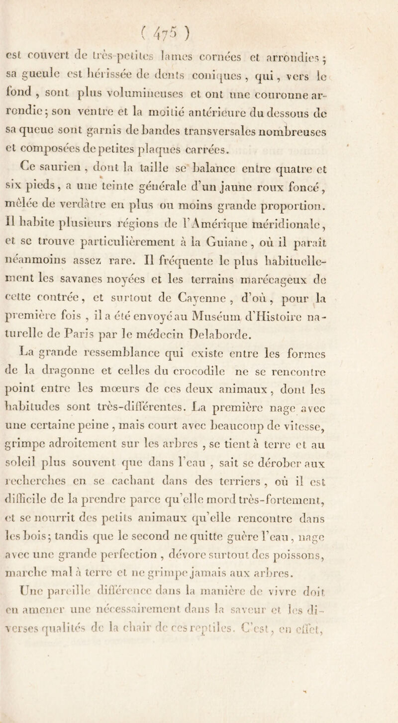 ( 47 r> ) est couvert de très-petites lames cornées et arrondies; sa gueule est hérissée de dents coniques , qui, vers le lond , sont plus volumineuses et ont une couronne ar- rondie; son ventre et la moitié antérieure du dessous de sa queue sont garnis débandés transversales nombreuses et composées de petites plaques carrées. Ce sauricn , dont la taille se balance entre quatre et six pieds, a une teinte générale d’un jaune roux foncé, mêlée de verdâtre en plus ou moins grande proportion. Il habite plusieurs régions de VAmérique méridionale, et sc trouve particulièrement à la Guiane , où il paraît néanmoins assez rare. Il fréquente le plus habituelle- ment les savanes noyées et les terrains marécageux de cette contrée, et surtout de Cayenne, d’où, pour la première fois , il a été envoyé au Muséum d’Histoire na- turelle de Paris par le médecin Delaborde. La grande ressemblance qui existe entre les formes de la dragonne et celles du crocodile ne se rencontre point entre les moeurs de ces deux animaux, dont les habitudes sont très-différentes. La première nage avec une certaine peine , mais court avec beaucoup de vitesse, grimpe adroitement sur les arbres , se tient à terre et au soleil plus souvent que dans beau , sait sc dérober aux recherches en se cachant dans des terriers , où il est difficile de la prendre parce qu’elle mord très-fortement, et se nourrit des petits animaux qu elle rencontre dans les bois; tandis que le second ne quitte guère l’eau, nage avec une grande perfection , dévore surtout des poissons, marche mal à terre et ne grimpe jamais aux arbres. Une pareille différence dans la manière de vivre doit en amener une nécessairement dans la saveur et les di- verses qualités de la chair de ces reptiles. C’est, en effet,