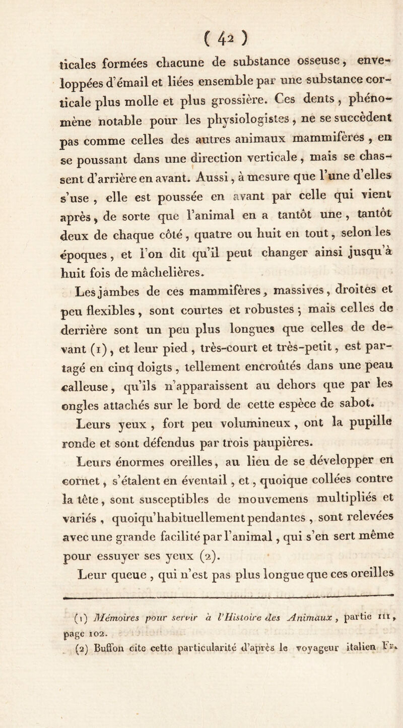 ( 4* ) îicales formées chacune de substance osseuse, enve- loppées d’émail et liées ensemble par une substance cor- ticale plus molle et plus grossière. Ces dents, phéno- mène notable pour les physiologistes , ne se succèdent pas comme celles des autres animaux mammifères , en se poussant dans une direction verticale, mais se chas- sent d’arrière en avant. Aussi, à mesure que l’une d’elles s’use , elle est poussée en avant par celle qui vient après, de sorte que l’animal en a tantôt une , tantôt deux de chaque côté, quatre ou huit en tout, selon les époques, et l’on dit qu’il peut changer ainsi jusqu’à huit fois de màchelières. Les jambes de ces mammifères, massives, droites et peu flexibles , sont courtes et robustes } mais celles de derrière sont un peu plus longues que celles de de- vant (i) , et leur pied , très-court et très-petit, est par- tagé en cinq doigts , tellement encroûtés dans une peau calleuse, qu’ils n’apparaissent au dehors que par les ongles attachés sur le bord de cette espèce de sabot. Leurs yeux , fort peu volumineux , ont la pupille ronde et sont défendus par trois paupières. Leurs énormes oreilles, au lieu de se développer en cornet, s’étalent en éventail, et, quoique collées contre la tête, sont susceptibles de mouvemens multipliés et variés, quoiqu’habituellement pendantes , sont relevées avec une grande facilité par l’animal, qui s’en sert même pour essuyer ses yeux (2). Leur queue , qui n’est pas plus longue que ces oreilles (1) Mémoires pour servir à l’Histoire des Animaux , partie ru, page 102. (2) Buffon cite cette particularité d’après le voyageur italien £*■•*•