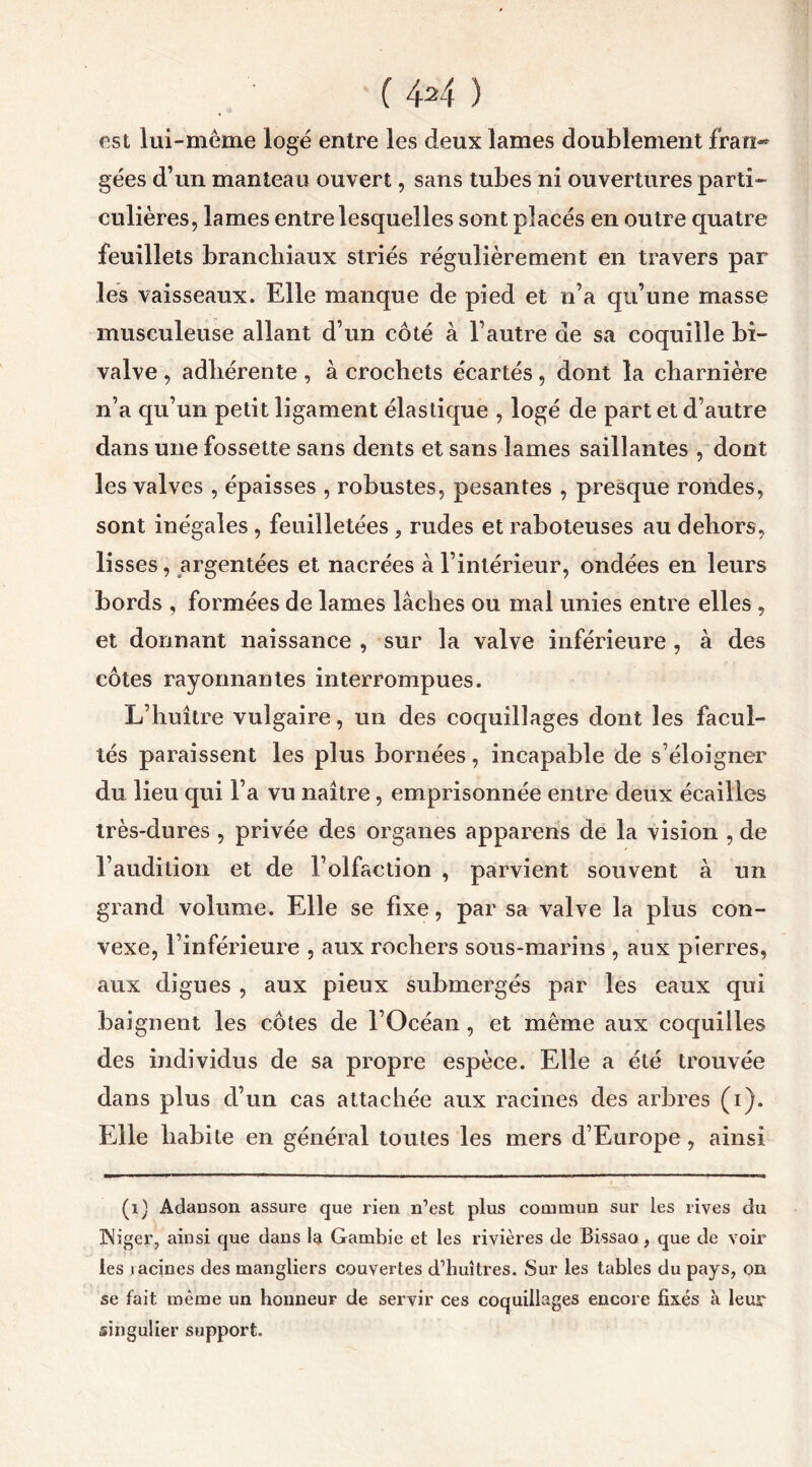 (AH) est lui-même logé entre les deux lames doublement fran- gées d’un manteau ouvert, sans tubes ni ouvertures parti- culières, lames entre lesquelles sont placés en outre quatre feuillets branchiaux striés régulièrement en travers par les vaisseaux. Elle manque de pied et n’a qu’une masse musculeuse allant d’un côté à l’autre de sa coquille bi- valve , adhérente , à crochets écartés, dont la charnière n’a qu’un petit ligament élastique , logé de part et d’autre dans une fossette sans dents et sans lames saillantes , dont les valves , épaisses , robustes, pesantes , presque rondes, sont inégales , feuilletées , rudes et raboteuses au dehors, lisses, argentées et nacrées à l’intérieur, ondées en leurs bords , formées de lames lâches ou mal unies entre elles , et donnant naissance , sur la valve inférieure , à des côtes rayonnantes interrompues. L’huître vulgaire, un des coquillages dont les facul- tés paraissent les plus bornées, incapable de s’éloigner du lieu qui l’a vu naître, emprisonnée entre deux écailles très-dures , privée des organes apparens de la vision , de l’audition et de l’olfaction , parvient souvent à un grand volume. Elle se fixe, par sa valve la plus con- vexe, l’inférieure , aux rochers sous-marins , aux pierres, aux digues , aux pieux submergés par les eaux qui baignent les côtes de l’Océan, et même aux coquilles des individus de sa propre espèce. Elle a été trouvée dans plus d’un cas attachée aux racines des arbres (i). Elle habite en général toutes les mers d’Europe , ainsi (1) Adanson assure que rien n’est plus commun sur les rives du INiger, ainsi que dans la Gambie et les rivières de Bissao, que de voir les tacines des mangliers couvertes d’huîtres. Sur les tables du pays, on se fait même un honneur de servir ces coquillages encore fixés à leur singulier support.