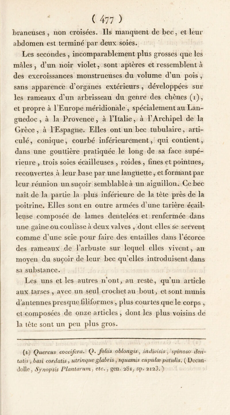 Crâneuses , non croisées. Ils manquent de bec, et leur abdomen est terminé par deux soies. Les secondes , incomparablement plus grosses que les males, d’un noir violet, sont aptères et ressemblent à des excroissances monstrueuses du volume d’un pois , sans apparence d’organes extérieurs , développées sur les rameaux d’un arbrisseau du genre des chênes (i), et propre à l’Europe méridionale , spécialement au Lan- guedoc , à la Provence, à l’Italie, à l’Archipel de la Grèce, à l’Espagne. Elles ont un bec tubulaire, arti- culé , conique, courbé inférieurement, qui contient, dans une gouttière pratiquée le long de sa face supé- rieure , trois soies écailleuses , roides , fines et pointues, recouvertes à leur base par une languette, et formant par leur réunion un suçoir semblable à un aiguillon. Ce bec naît de la partie la plus inférieure de la tôle près de la poitrine. Elles sont en outre armées d’une tarière écail- leuse composée de lames dentelées et renfermée dans une gaine ou coulisse à deux valves , dont elles se servent comme d’une scie pour faire des entailles dans l’écorce des rameaux de l’arbuste sur lequel elles vivent, au moyen du suçoir de leur bec qu’elles introduisent dans sa substance. Les uns et les autres n’ont^ au reste, qu’un article aux tarses , avec un seul crochet au bout,, et sont munis d’antennes presque filiformes , plus courtes que le corps , et composées de onze articles , dont les plus voisins de la tête sont un peu plus gros. (i) Quercus coccifera. Q. fotiis obLongis, induisis, spinoso den- Uitis , basi cordalis, utrinque glabris, squamis cupulœ paluiis. ( Decan- dolle, Synopsis Plantarum, etc., gcn. 281, sp. 2123. )