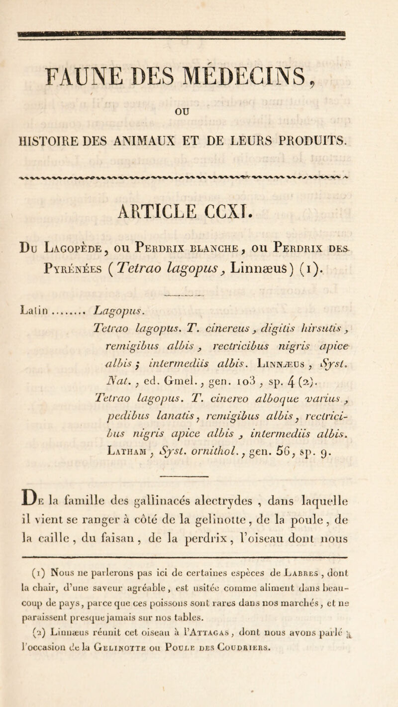 FAUNE DES MEDECINS, t ou HISTOIRE DES ANIMAUX ET DE LEURS PRODUITS. ARTICLE CCXI. Du Lagopède, ou Perdrix blanche, ou Perdrix des. Pyrénées ( Tetrao lagopus, Linnæus) (i). Lalin Lagopus. Tetrao lagopus. T. cinereus digilis hirsutis remigibus albis rectiicibus nigris apice allas ; inlermediis albis. Linnæus ; SysL. Nat. j cd. Gmel. , gen. io3 , sp. 4 (2). Tetrao lagopus. T. cinereo alboque 'varias pedibus lanatis ? remigibus albis, rectrici- bus nigris apice albis intermediis albis. Lathari ; Ny-sL ornithol.j gen. 56; sp. 9. De la famille des gallinacés alectrydes , dans laquelle il vient se ranger à côté de la gelinotte, de la poule , de la caille, du faisan, de la perdrix, l’oiseau dont nous (1) Nous ne parlerons pas ici de certaines espèces de Labres , dont la chair, d’une saveur agréable, est usitée comme aliment dans beau- coup de pays, parce que ces poissons sont rares dans nos marchés, et ne paraissent presque jamais sur nos tables. ('i) Linnæus réunit cet oiseau à I’Attagas , dont nous avons parlé 'a 1 occasion de la Gelinotte ou Poule des Coudriers.