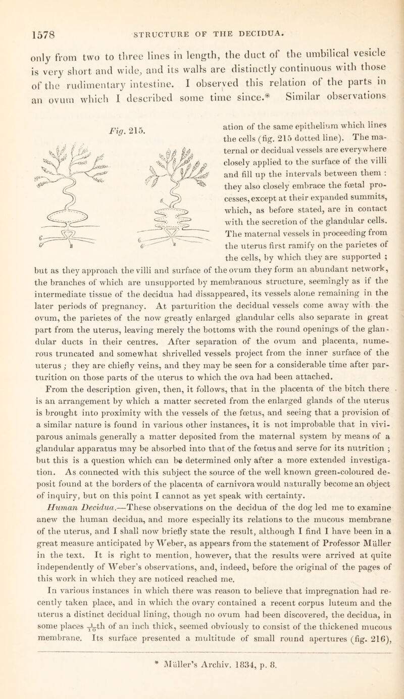 only from two to three lines in length, the duct of the umbilical vesicle is very short and wide, and its walls are distinctly continuous with those of the rudimentary intestine. I observed this relation of the parts in an ovum which 1 described some time since.* Similar observations ation of the same epithelium which lines the cells (fig. 215 dotted line). The ma¬ ternal or decidual vessels are everywhere closely applied to the surface of the villi and fill up the intervals between them : they also closely embrace the foetal pro¬ cesses, except at their expanded summits, which, as before stated, are in contact with the secretion of the glandular cells. The maternal vessels in proceeding from the uterus first ramify on the parietes of the cells, by which they are supported ; blit as they approach the villi and surface of the ovum they form an abundant network, the branches of which are unsupported by membranous structure, seemingly as if the intermediate tissue of the decidua had dissappeared, its vessels alone remaining in the later periods of pregnancy. At parturition the decidual vessels come away with the ovum, the parietes of the now greatly enlarged glandular cells also separate in great part from the uterus, leaving merely the bottoms with the round openings of the glan¬ dular ducts in their centres. After separation of the ovum and placenta, nume¬ rous truncated and somewhat shrivelled vessels project from the inner surface of the uterus ; they are chiefly veins, and they may be seen for a considerable time after par¬ turition on those parts of the uterus to which the ova had been attached. From the description given, then, it follows, that in the placenta of the bitch there is an arrangement by which a matter secreted from the enlarged glands of the uterus is brought into proximity with the vessels of the foetus, and seeing that a provision of a similar nature is found in various other instances, it is not improbable that in vivi¬ parous animals generally a matter deposited from the maternal system by means of a glandular apparatus may be absorbed into that of the foetus and serve for its nutrition ; but this is a question which can be determined only after a more extended investiga¬ tion. As connected with this subject the source of the well known green-coloured de¬ posit found at the borders of the placenta of carnivora would naturally become an object of inquiry, but on this point I cannot as yet speak with certainty. Human Decidua.—These observations on the decidua of the dog led me to examine anew the human decidua, and more especially its relations to the mucous membrane of the uterus, and I shall now briefly state the result, although I find I have been in a great measure anticipated by Weber, as appears from the statement of Professor Muller in the text. It is right to mention, however, that the results were arrived at quite independently of Weber’s obsei’vations, and, indeed, before the original of the pages of this work in which they are noticed reached me. In various instances in which there was reason to believe that impregnation had re¬ cently taken place, and in which the ovary contained a recent corpus luteum and the uterus a distinct decidual lining, though no ovum had been discovered, the decidua, in some places -J^th of an inch thick, seemed obviously to consist of the thickened mucous membrane. Its surface presented a multitude of small round apertures (fig. 216), Fig. 215. * Muller’s Archiv. 1834, p. 8.