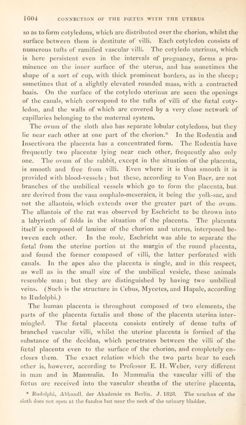 so as to form cotyledons, which are distributed over the chorion, whilst the surface between them is destitute of villi. Each cotyledon consists of numerous tufts of ramified vascular villi. The cotyledo uterinus, which is here persistent even in the intervals of pregnancy, forms a pro¬ minence on the inner surface of the uterus, and has sometimes the shape of a sort of cup, with thick prominent borders, as in the sheep; sometimes that of a slightly elevated rounded mass, with a contracted basis. On the surface of the cotyledo uterinus are seen the openings of the canals, which correspond to the tufts of villi of the foetal coty¬ ledon, and the walls of which are covered by a very close network of capillaries belonging to the maternal system. The ovum of the sloth also has separate lobular cotyledons, but they lie near each other at one part of the chorion.* In the Rodentia and Insectivora the placenta has a concentrated form. The Rodentia have frequently two placentae lying near each other, frequently also only one. The ovum of the rabbit, except in the situation of the placenta, is smooth and free from villi. Even where it is thus smooth it is provided with blood-vessels ; but these, according to Von Baer, are not branches of the umbilical vessels which go to form the placenta, but are derived from the vasa omphalo-meseraica, it being the yolk-sac, and not the allantois, which extends over the greater part of the ovum. The allantois of the rat was observed by Eschricht to be thrown into a labyrinth of folds in the situation of the placenta. The placenta itself is composed of laminae of the chorion and uterus, interposed be¬ tween each other. In the mole, Eschricht was able to separate the foetal from the uterine portion at the margin of the round placenta, and found the former composed of villi, the latter perforated with canals. In the apes also the placenta is single, and in this respect, as well as in the small size of the umbilical vesicle, these animals resemble man; but the}' are distinguished by having two umbilical veins. (Such is the structure in Cebus, Mycetes, and Hapale, according to Rudolphi.) The human placenta is throughout composed of twfo elements, the parts of the placenta fcetalis and those of the placenta uterina inter¬ mingled. The foetal placenta consists entirely of dense tufts of branched vascular villi, whilst the uterine placenta is formed of the substance of the decidua, which penetrates between the villi of the foetal placenta even to the surface of the chorion, and completely en¬ closes them. The exact relation which the two parts bear to each other is, however, according to Professor E. H. Weber, very different in man and in Mammalia. In Mammalia the vascular villi of the foetus are received into the vascular sheaths of the uterine placenta, * Rudolphi, Abhandl. der Akademie zu Berlin. J. 1828. The urachus of the sloth does not open at the fundus hut near the neck of the urinary bladder.