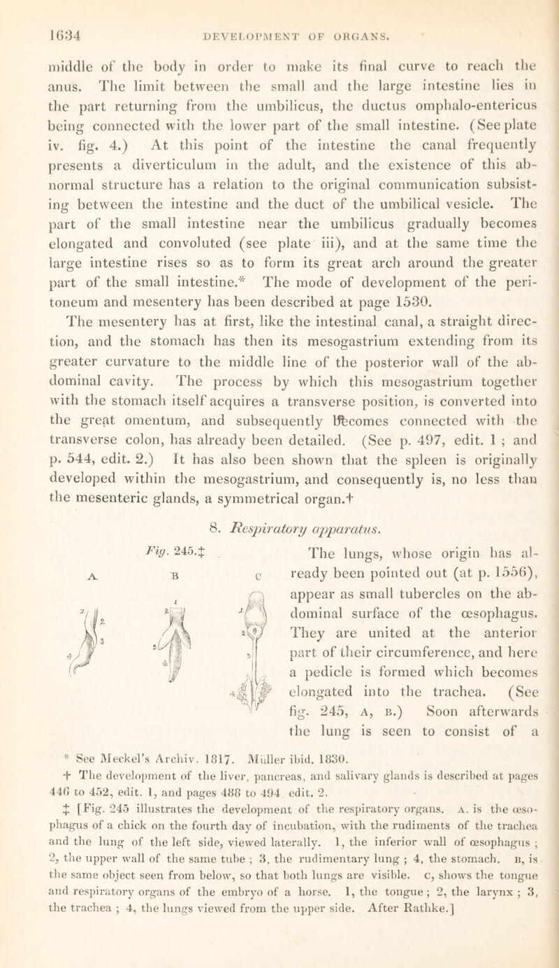 middle of the body in order to make its final curve to reach the anus. The limit between the small and the large intestine lies in the part returning from the umbilicus, the ductus omphalo-entericus being connected with the lower part of the small intestine. (See plate iv. fig. 4.) At this point of the intestine the canal frequently presents a diverticulum in the adult, and the existence of this ab¬ normal structure has a relation to the original communication subsist¬ ing between the intestine and the duct of the umbilical vesicle. The part of the small intestine near the umbilicus gradually becomes elongated and convoluted (see plate iii), and at the same time the large intestine rises so as to form its great arch around the greater part of the small intestine.* The mode of development of the peri¬ toneum and mesentery has been described at page 1530. The mesentery has at first, like the intestinal canal, a straight direc¬ tion, and the stomach has then its mesogastrium extending from its greater curvature to the middle line of the posterior wall of the ab¬ dominal cavity. The process by which this mesogastrium together with the stomach itself acquires a transverse position, is converted into the great omentum, and subsequently bfecomes connected with the transverse colon, has already been detailed. (See p. 497, edit. 1 ; and p. 544, edit. 2.) It has also been shown that the spleen is originally developed within the mesogastrium, and consequently is, no less than the mesenteric glands, a symmetrical organ.t 8. Respiratory apparatus. c The lungs, whose origin has al¬ ready been pointed out (at p. 1556), appear as small tubercles on the ab¬ dominal surface of the oesophagus. They are united at the anterior part of their circumference, and here a pedicle is formed which becomes elongated into the trachea. (See fig, 245, a, b.) Soon afterwards the lung is seen to consist of a * See Meckel’s Archiv. 1817. Muller ibid. 1830. 4 The development of the liver, pancreas, and salivary glands is described at pages 446 to 452, edit. 1, and pages 488 to 494 edit. 2. + [Rig. 245 illustrates the development of the respiratory organs, a. is the oeso¬ phagus of a chick on the fourth day of incubation, with the rudiments of the trachea and the lung of the left side, viewed laterally. 1, the inferior wall of oesophagus ; 2, the upper wall of the same tube ; 3, the rudimentary lung ; 4, the stomach, b, is the same object seen from below, so that both lungs are visible, c, shows the tongue and respiratory organs of the embryo of a horse. 1, the tongue; 2, the larynx; 3, the trachea ; 4, the lungs viewed from the upper side. After Rathke.]