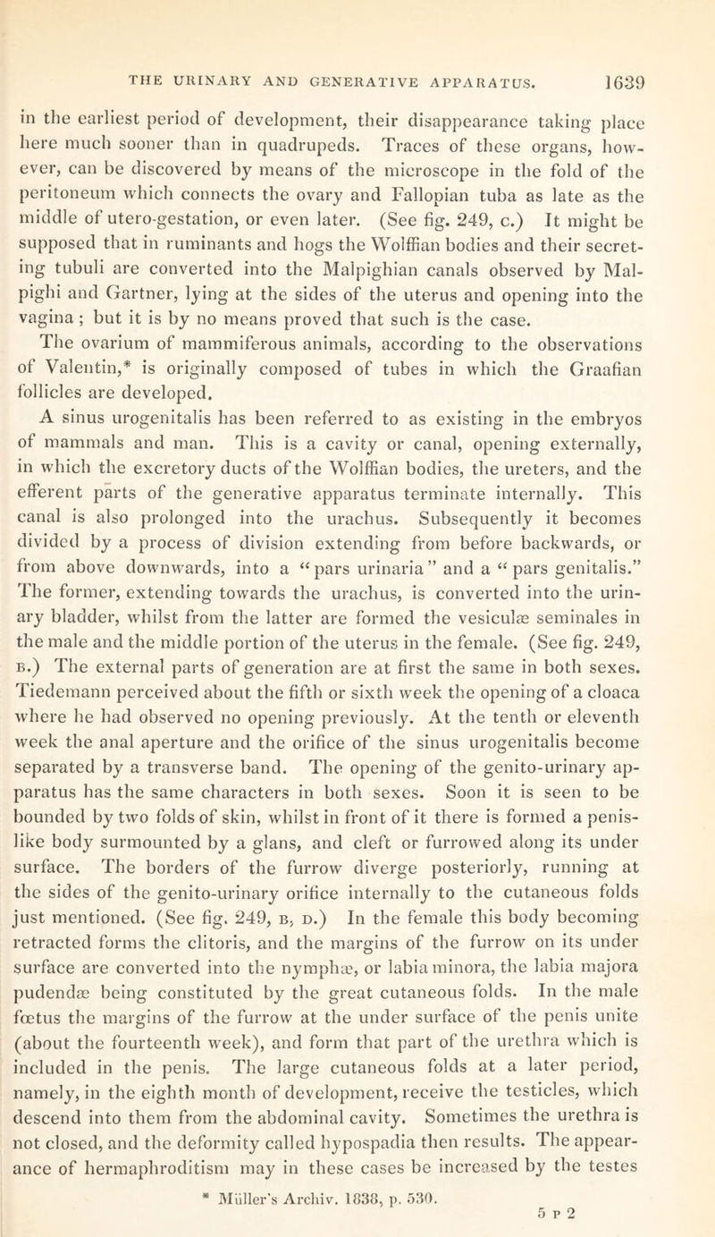 in the earliest period of development, their disappearance taking place here much sooner than in quadrupeds. Traces of these organs, how¬ ever, can be discovered by means of the microscope in the fold of the peritoneum which connects the ovary and Fallopian tuba as late as the middle of utero-gestation, or even later. (See fig. 249, c.) It might be supposed that in ruminants and hogs the Wolffian bodies and their secret¬ ing tubuli are converted into the Malpighian canals observed by Mal¬ pighi and Gartner, lying at the sides of the uterus and opening into the vagina; but it is by no means proved that such is the case. The ovarium of mammiferous animals, according to the observations of Valentin,* is originally composed of tubes in which the Graafian follicles are developed. A sinus urogenitalis has been referred to as existing in the embryos of mammals and man. This is a cavity or canal, opening externally, in which the excretory ducts of the Wolffian bodies, the ureters, and the efferent parts of the generative apparatus terminate internally. This canal is also prolonged into the urachus. Subsequently it becomes divided by a process of division extending from before backwards, or from above downwards, into a “ pars urinaria ” and a “ pars genitalis.” The former, extending towards the urachus, is converted into the urin¬ ary bladder, whilst from the latter are formed the vesiculae seminales in the male and the middle portion of the uterus in the female. (See fig. 249, b.) The external parts of generation are at first the same in both sexes. Tiedemann perceived about the fifth or sixth week the opening of a cloaca where he had observed no opening previously. At the tenth or eleventh week the anal aperture and the orifice of the sinus urogenitalis become separated by a transverse band. The opening of the genito-urinary ap¬ paratus has the same characters in both sexes. Soon it is seen to be bounded by two folds of skin, whilst in front of it there is formed a penis¬ like body surmounted by a glans, and cleft or furrowed along its under surface. The borders of the furrow diverge posteriorly, running at the sides of the genito-urinary orifice internally to the cutaneous folds just mentioned. (See fig. 249, b> d.) In the female this body becoming retracted forms the clitoris, and the margins of the furrow on its under surface are converted into the nymphae, or labia minora, the labia majora pudendae being constituted by the great cutaneous folds. In the male foetus the margins of the furrow at the under surface of the penis unite (about the fourteenth week), and form that part of the urethra which is included in the penis. The large cutaneous folds at a later period, namely, in the eighth month of development, receive the testicles, which descend into them from the abdominal cavity. Sometimes the urethra is not closed, and the deformity called hypospadia then results. The appear¬ ance of hermaphroditism may in these cases be increased by the testes * Muller’s Archiv. 1838, p. 530. 5 p 2