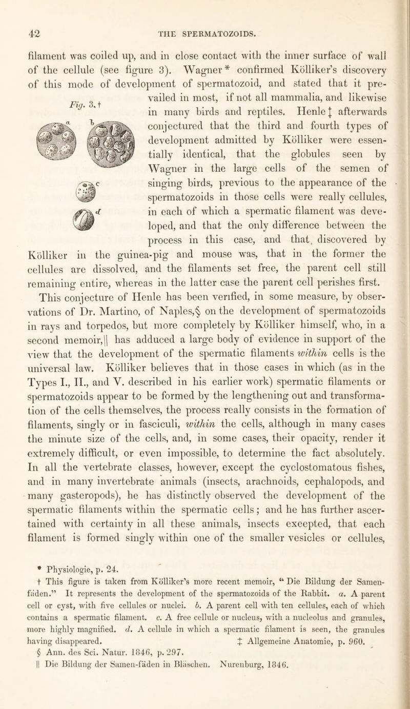 Fig. 3. t filament was coiled up, and in close contact with the inner surface of wall of the cellule (see figure 3). Wagner* * * § confirmed Kolliker’s discovery of this mode of development of spermatozoid, and stated that it pre¬ vailed in most, if not all mammalia, and likewise in many birds and reptiles. Ilenle J afterwards conjectured that the third and fourth types of development admitted by Kolliker were essen¬ tially identical, that the globules seen by Wagner in the large cells of the semen of singing birds, previous to the appearance of the spermatozoids in those cells were really cellules, in each of which a spermatic filament was deve¬ loped, and that the only difference between the process in this case, and that, discovered by Kolliker in the guinea-pig and mouse was, that in the former the cellules are dissolved, and the filaments set free, the parent cell still remaining entire, whereas in the latter case the parent cell perishes first. This conjecture of Henle has been verified, in some measure, by obser¬ vations of Dr. Martino, of Naples,§ on the development of spermatozoids in rays and torpedos, but more completely by Kolliker himself, who, in a second memoir,\\ has adduced a large body of evidence in support of the view that the development of the spermatic filaments within cells is the universal law. Kolliker believes that in those cases in which (as in the Types I., II., and V. described in his earlier work) spermatic filaments or Spermatozoids appear to be formed by the lengthening out and transforma¬ tion of the cells themselves, the process really consists in the formation of filaments, singly or in fasciculi, within the cells, although in many cases the minute size of the cells, and, in some cases, their opacity, render it extremely difficult, or even impossible, to determine the fact absolutely. In all the vertebrate classes, however, except the cyclostomatous fishes, and in many invertebrate animals (insects, arachnoids, cephalopods, and many gasteropods), he has distinctly observed the development of the spermatic filaments within the spermatic cells; and he has further ascer¬ tained with certainty in all these animals, insects exeepted, that each filament is formed singly within one of the smaller vesicles or cellules, * Physiologie, p. 24. t This figure is taken from Kolliker’s more recent memoir, “ Die Bildung der Samen- faden.” It represents the development of the spermatozoids of the Rabbit, a. A parent cell or cyst, with five cellules or nuclei, h. A parent cell with ten cellules, each of which contains a spermatic filament, c. A free cellule or nucleus, with a nucleolus and granules, more highly magnified, d. A cellule in which a spermatic filament is seen, the granules having disappeared. X Allgemeine Anatomie, p. 960. § Ann. des Sci. Natur. 1846, p.297. || Die Bildung der Samen-faden in Bliischen. Nurenburg, 1846.