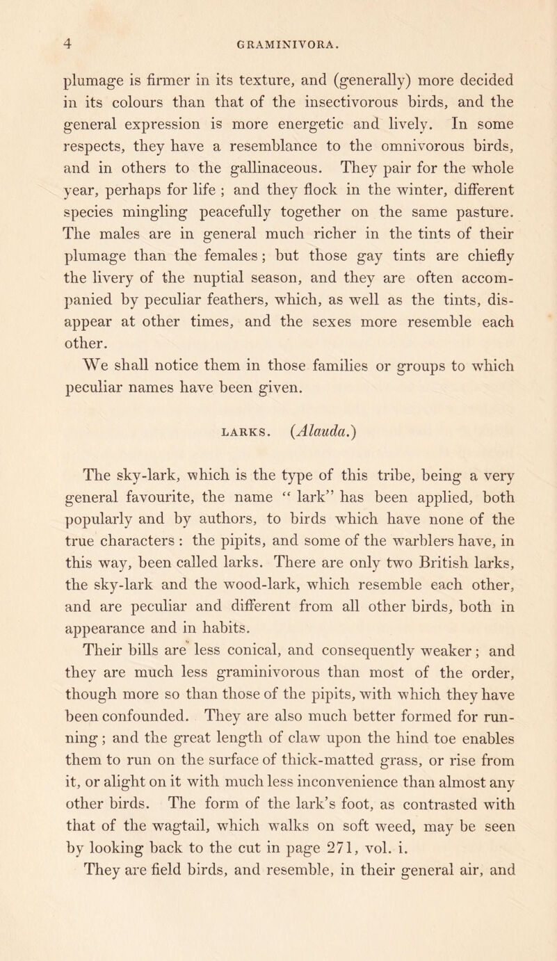 plumage is firmer in its texture, and (generally) more decided in its colours than that of the insectivorous birds, and the general expression is more energetic and lively. In some respects, they have a resemblance to the omnivorous birds, and in others to the gallinaceous. They pair for the whole year, perhaps for life ; and they flock in the winter, different species mingling peacefully together on the same pasture. The males are in general much richer in the tints of their plumage than the females; but those gay tints are chiefly the livery of the nuptial season, and they are often accom¬ panied by peculiar feathers, which, as well as the tints, dis¬ appear at other times, and the sexes more resemble each other. We shall notice them in those families or groups to which peculiar names have been given. LARKS. (Alauda.) The sky-lark, which is the type of this tribe, being a very general favourite, the name “ lark” has been applied, both popularly and by authors, to birds which have none of the true characters : the pipits, and some of the warblers have, in this way, been called larks. There are only two British larks, the sky-lark and the wood-lark, which resemble each other, and are peculiar and different from all other birds, both in appearance and in habits. Their hills are less conical, and consequently weaker; and they are much less graminivorous than most of the order, though more so than those of the pipits, with which they have been confounded. They are also much better formed for run¬ ning ; and the great length of claw upon the hind toe enables them to run on the surface of thick-matted grass, or rise from it, or alight on it with much less inconvenience than almost any other birds. The form of the lark’s foot, as contrasted with that of the wagtail, w^hich walks on soft weed, may be seen by looking back to the cut in page 271, vol. i. They are field birds, and resemble, in their general air, and