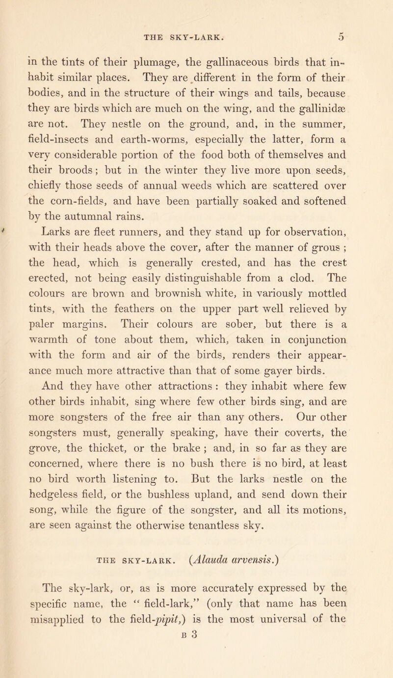 in the tints of their plumage, the gallinaceous birds that in¬ habit similar places. They are,different in the form of their bodies, and in the structure of their wings and tails, because they are birds which are much on the wing, and the gallinidse are not. They nestle on the ground, and, in the summer, field-insects and earth-worms, especially the latter, form a very considerable portion of the food both of themselves and their broods; but in the winter they live more upon seeds, chiefly those seeds of annual weeds which are scattered over the corn-fields, and have been partially soaked and softened by the autumnal rains. Larks are fleet runners, and they stand up for observation, with their heads above the cover, after the manner of grous ; the head, which is generally crested, and has the crest erected, not being easily distinguishable from a clod. The colours are brown and brownish white, in variously mottled tints, with the feathers on the upper part well relieved by paler margins. Their colours are sober, but there is a warmth of tone about them, which, taken in conjunction with the form and air of the birds, renders their appear¬ ance much more attractive than that of some gayer birds. And they have other attractions : they inhabit where few other birds inhabit, sing where few other birds sing, and are more songsters of the free air than any others. Our other songsters must, generally speaking, have their coverts, the grove, the thicket, or the brake ; and, in so far as they are concerned, where there is no bush there is no bird, at least no bird worth listening to. But the larks nestle on the hedgeless field, or the bushless upland, and send down their song, while the figure of the songster, and all its motions, are seen against the otherwise tenantless sky. THE SKY-LARK. {Alaudtt avveusis.) The sky-lark, or, as is more accurately expressed by the specific name, the “ field-lark,” (only that name has been misapplied to the field-j9zpz7,) is the most universal of the