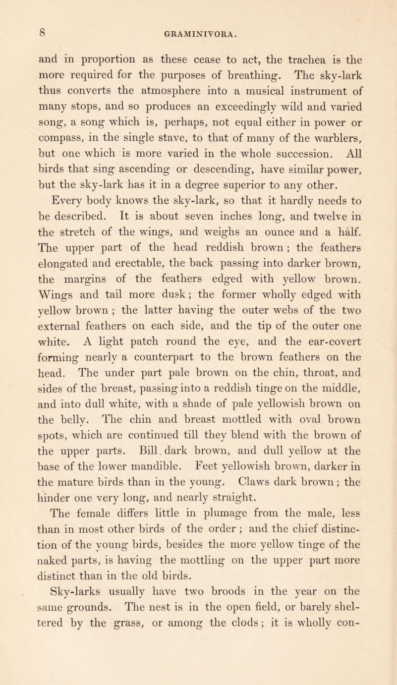 and in proportion as these cease to act, the trachea is the more required for the purposes of breathing. The sky-lark thus converts the atmosphere into a musical instrument of many stops, and so produces an exceedingly wild and varied song, a song which is, perhaps, not equal either in power or compass, in the single stave, to that of many of the warblers, but one which is more varied in the whole succession. All birds that sing ascending or descending, have similar power, but the sky-lark has it in a degree superior to any other. Every body knows the sky-lark, so that it hardly needs to be described. It is about seven inches long, and twelve in the stretch of the wings, and weighs an ounce and a half. The upper part of the head reddish brown ; the feathers elongated and erectable, the back passing into darker brown, the margins of the feathers edged with yellow brown. Wings and tail more dusk; the former wholly edged with yellow brown ; the latter having the outer webs of the two external feathers on each side, and the tip of the outer one white. A light patch round the eye, and the ear-covert forming nearly a counterpart to the brown feathers on the head. The under part pale brown on the chin, throat, and sides of the breast, passing into a reddish tinge on the middle, and into dull white, with a shade of pale yellowish brown on the belly. The chin and breast mottled with oval brown spots, which are continued till they blend with the brown of the upper parts. Bill, dark brown, and dull yellow at the base of the lower mandible. Feet yellowish brown, darker in the mature birds than in the young. Claws dark brown; the hinder one very long, and nearly straight. The female differs little in plumage from the male, less than in most other birds of the order ; and the chief distinc¬ tion of the young birds, besides the more yellow tinge of the naked parts, is having the mottling on the upper part more distinct than in the old birds. Sky-larks usually have two broods in the year on the same grounds. The nest is in the open field, or barely shel¬ tered by the grass, or among the clods; it is wholly con-