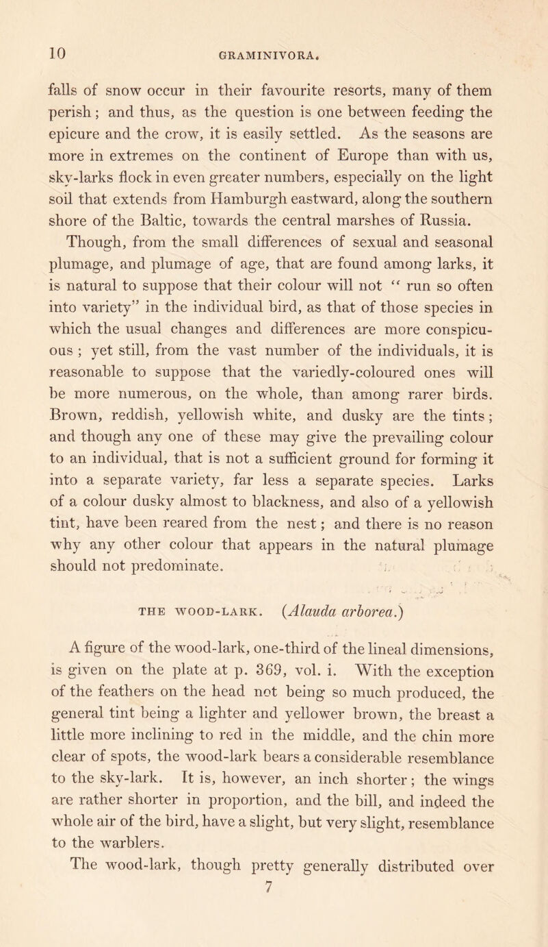 falls of snow occur in their favourite resorts, many of them perish; and thus, as the question is one between feeding the epicure and the crow, it is easily settled. As the seasons are more in extremes on the continent of Europe than with us, sky-larks flock in even greater numbers, especially on the light soil that extends from Hamburgh eastward, along the southern shore of the Baltic, towards the central marshes of Russia. Though, from the small diflhrences of sexual and seasonal plumage, and plumage of age, that are found among larks, it is natural to suppose that their colour will not run so often into variety” in the individual bird, as that of those species in which the usual changes and differences are more conspicu¬ ous ; yet still, from the vast number of the individuals, it is reasonable to suppose that the variedly-coloured ones will he more numerous, on the whole, than among rarer birds. Brown, reddish, yellowish white, and dusky are the tints; and though any one of these may give the prevailing colour to an individual, that is not a sufficient ground for forming it into a separate variety, far less a separate species. Larks of a colour dusky almost to blackness, and also of a yellowish tint, have been reared from the nest; and there is no reason why any other colour that appears in the natural plumage should not predominate. THE WOOD-LARK. {Alaudtt avhorea.) A figure of the wood-lark, one-third of the lineal dimensions, is given on the plate at p. 369, vol. i. With the exception of the feathers on the head not being so much produced, the general tint being a lighter and yellower brown, the breast a little more inclining to red in the middle, and the chin more clear of spots, the wood-lark bears a considerable resemblance to the sky-lark. It is, however, an inch shorter; the wings are rather shorter in proportion, and the bill, and indeed the whole air of the bird, have a slight, but very slight, resemblance to the warblers. The wood-lark, though pretty generally distributed over 7