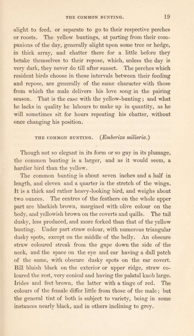 alight to feed, or separate to go to their respective perches or roosts. The yellow buntings, at parting from their com¬ panions of the day, generally alight upon some tree or hedge, in thick array, and chatter there for a little before they betake themselves to their repose, which, unless the day is very dark, they never do till after sunset. The perches which resident birds choose in these intervals between their feeding and repose, are generally of the same character with those from which the male delivers his love song in the pairing season. That is the case with the yellow-bunting ; and what he lacks in quality he labours to make up in quantity, as he will sometimes sit for hours repeating his chatter, without once changing his position. THE COMMON BUNTING. {Emheriza miliaria.) Though not so elegant in its form or so gay in its plumage, the common bunting is a larger, and as it would seem, a hardier bird than the yellow. The common bunting is about seven inches and a half in length, and eleven and a quarter in the stretch of the wings. It is a thick and rather heavy-looking bird, and weighs about two ounces. The centres of the feathers on the whole upper part are blackish brown, margined with olive colour on the body, and yellowish brown on the coverts and quills. The tail dusky, less produced, and more forked than that of the yellow bunting. Under part straw colour, with numerous triangular dusky spots, except on the middle of the belly. An obscure straw coloured streak from the gape down the side of the neck, and the space on the eye and ear having a dull patch of the same, with obscure dusky spots on the ear covert. Bill bluish black on the exterior or upper ridge, straw co¬ loured the rest, very conical and having the palatal knob large. Irides and feet brown, the latter with a tinge of red. The colours of the female differ little from those of the male; but the general tint of both is subject to variety, being in some instances nearly black, and in others inclining to grey.