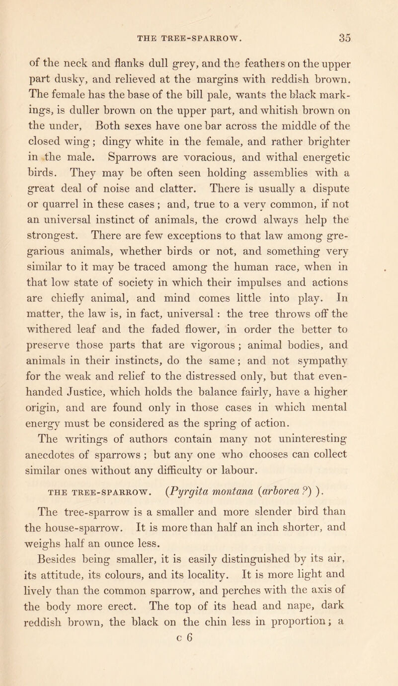 of the neck and flanks dull grey, and the feathers on the upper part dusky, and relieved at the margins with reddish brown. The female has the base of the bill pale, wants the black mark¬ ings, is duller brown on the upper part, and whitish brown on the under, Both sexes have one bar across the middle of the closed wing; dingy white in the female, and rather brighter in the male. Sparrows are voracious, and withal energetic birds. They may be often seen holding assemblies with a great deal of noise and clatter. There is usually a dispute or quarrel in these cases; and, true to a very common, if not an universal instinct of animals, the crowd always help the strongest. There are few exceptions to that law among gre¬ garious animals, whether birds or not, and something very similar to it may be traced among the human race, when in that low state of society in which their impulses and actions are chiefly animal, and mind comes little into play. In matter, the law is, in fact, universal: the tree throws off the withered leaf and the faded flower, in order the better to preserve those parts that are vigorous ; animal bodies, and animals in their instincts, do the same; and not sympathy for the weak and relief to the distressed only, but that even- handed Justice, which holds the balance fairly, have a higher origin, and are found only in those cases in which mental energy must be considered as the spring of action. The writings of authors contain many not uninteresting anecdotes of sparrows ; but any one who chooses can collect similar ones without any difficulty or labour. THE TREE-SPARROW. {Pyrgittt montana (arhorea?) ). The tree-sparrow is a smaller and more slender bird than the house-sparrow. It is more than half an inch shorter, and weighs half an ounce less. Besides being smaller, it is easily distinguished by its air, its attitude, its colours, and its locality. It is more light and lively than the common sparrow, and perches with the axis of the body more erect. The top of its head and nape, dark reddish brown, the black on the chin less in proportion; a
