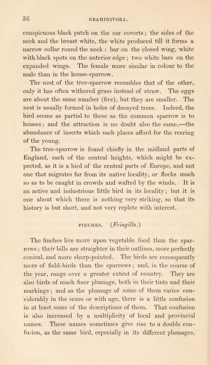 conspicuous black patch on the ear coverts; the sides of the neck and the breast white, the white produced till it forms a narrow collar round the neck : bar on the closed wing, white with black spots on the anterior edge; two white bars on the expanded wings. The female more similar in colour to the male than in the house-sparrow. The nest of the tree-sparrow resembles that of the other, only it has often withered grass instead of straw. The eggs are about the same number (five), but they are smaller. The nest is usually formed in holes of decayed trees. Indeed, the bird seems as partial to these as the common sparrow is to houses; and the attraction is no doubt also the same,—the abundance of insects which such places afford for the rearing of the young. The tree-sparrow is found chiefly in the midland parts of England, each of the central heights, which might be ex¬ pected, as it is a bird of the central parts of Europe, and not one that migrates far from its native locality, or flocks much so as to be caught in crowds and wafted by the winds. It is an active and industrious little bird in its locality; but it is one about which there is nothing very striking, so that its history is but short, and not very replete with interest. FINCHES. {Fringilla.) The finches live more upon vegetable food than the spar¬ rows ; their bills are straighter in their outlines, more perfectly conical, and more sharp-pointed. The birds are consequently more of field-birds than the sparrows; and, in the course of the year, range over a greater extent of country. They are also birds of much finer plumage, both in their tints and their markings; and as the plumage of some of them varies con¬ siderably in the sexes or with age, there is a little confusion in at least some of the descriptions of them. That confusion is also increased by a multiplicity of local and provincial names. These names sometimes give rise to a double con¬ fusion, as the same bird, especially in its different plumages.