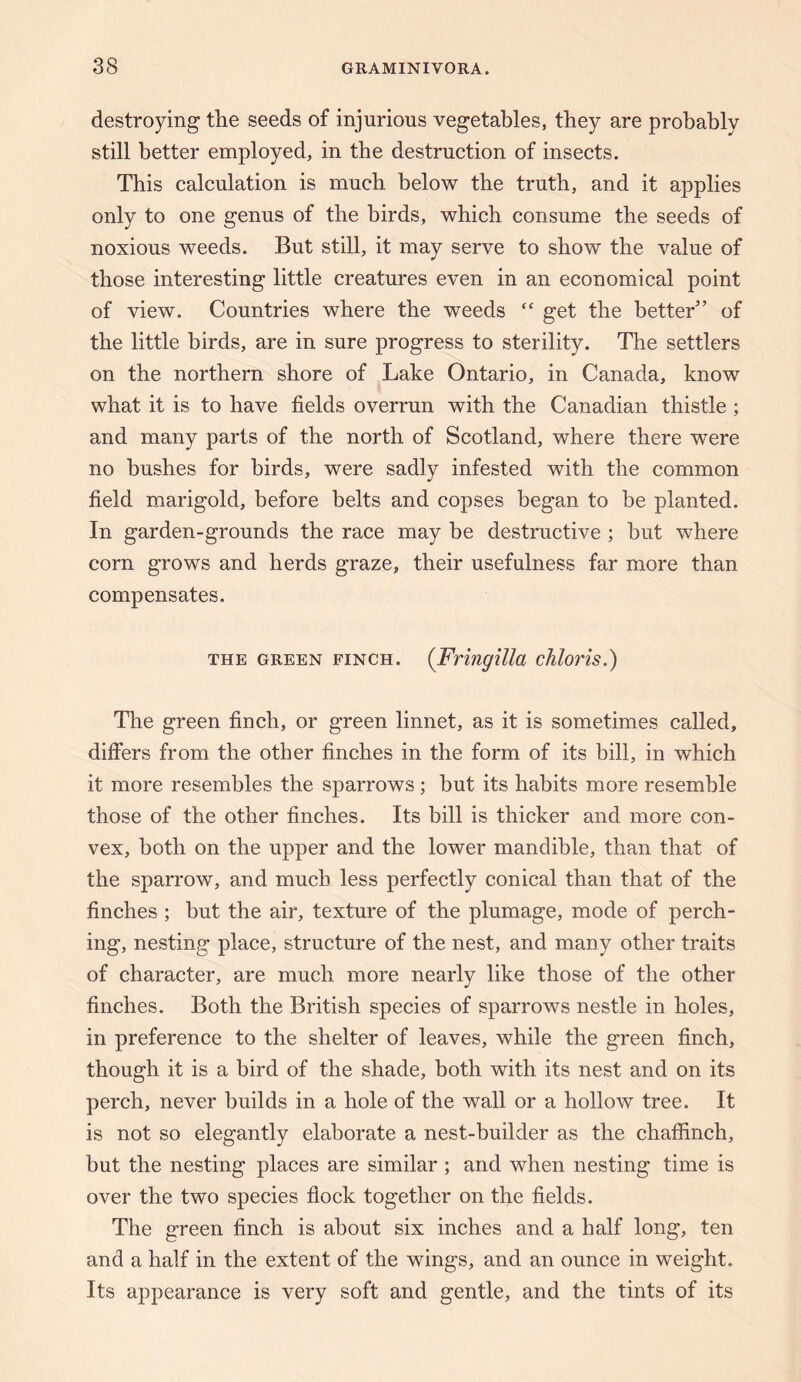 destroying the seeds of injurious vegetables, they are probably still better employed, in the destruction of insects. This calculation is much below the truth, and it applies only to one genus of the birds, which consume the seeds of noxious weeds. But still, it may serve to show the value of those interesting little creatures even in an economical point of view. Countries where the weeds “ get the better” of the little birds, are in sure progress to sterility. The settlers on the northern shore of Lake Ontario, in Canada, know what it is to have fields overrun with the Canadian thistle ; and many parts of the north of Scotland, where there were no hushes for birds, were sadly infested with the common field marigold, before belts and copses began to be planted. In garden-grounds the race may be destructive ; but where corn grows and herds graze, their usefulness far more than compensates. THE GREEN FINCH. (Fringilla chloris.) The green finch, or green linnet, as it is sometimes called, differs from the other finches in the form of its bill, in which it more resembles the sparrows; but its habits more resemble those of the other finches. Its bill is thicker and more con¬ vex, both on the upper and the lower mandible, than that of the sparrow, and much less perfectly conical than that of the finches ; but the air, texture of the plumage, mode of perch¬ ing, nesting place, structure of the nest, and many other traits of character, are much more nearly like those of the other finches. Both the British species of sparrows nestle in holes, in preference to the shelter of leaves, while the green finch, though it is a bird of the shade, both with its nest and on its perch, never builds in a hole of the wall or a hollow tree. It is not so elegantly elaborate a nest-builder as the chaffinch, but the nesting places are similar ; and when nesting time is over the two species flock together on the fields. The green finch is about six inches and a half long, ten and a half in the extent of the wings, and an ounce in weight. Its appearance is very soft and gentle, and the tints of its