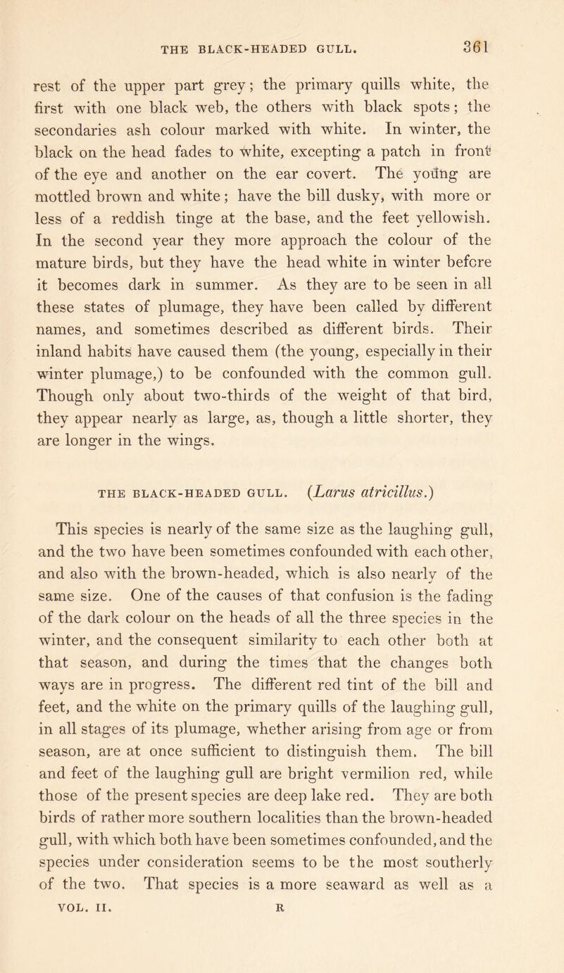 rest of the upper part grey; the primary quills white, the first with one black web, the others with black spots; the secondaries ash colour marked with white. In winter, the black on the head fades to white, excepting a patch in front of the eye and another on the ear covert. The yodng are mottled brown and white; have the bill dusky, with more or less of a reddish tinge at the base, and the feet yellowish. In the second year they more approach the colour of the mature birds, but they have the head white in winter before it becomes dark in summer. As they are to be seen in all these states of plumage, they have been called by different names, and sometimes described as different birds. Their inland habits have caused them (the yoang, especially in their winter plumage,) to be confounded with the common gull. Though only about two-thirds of the weight of that bird, they appear nearly as large, as, though a little shorter, they are longer in the wings. THE BLACK-HEADED GULL. {LurUS atricUluS.) This species is nearly of the same size as the laughing gull, and the two have been sometimes confounded with each other, and also with the brown-headed, which is also nearly of the same size. One of the causes of that confusion is the fading of the dark colour on the heads of all the three species in the winter, and the consequent similarity to each other both at that season, and during the times that the changes both ways are in progress. The different red tint of the bill and feet, and the white on the primary quills of the laughing gull, in all stages of its plumage, whether arising from age or from season, are at once sufficient to distinguish them. The bill and feet of the laughing gull are bright vermilion red, while those of the present species are deep lake red. They are both birds of rather more southern localities than the brown-headed gull, with which both have been sometimes confounded, and the species under consideration seems to be the most southerly of the two. That species is a more seaward as well as a VOL. II. R