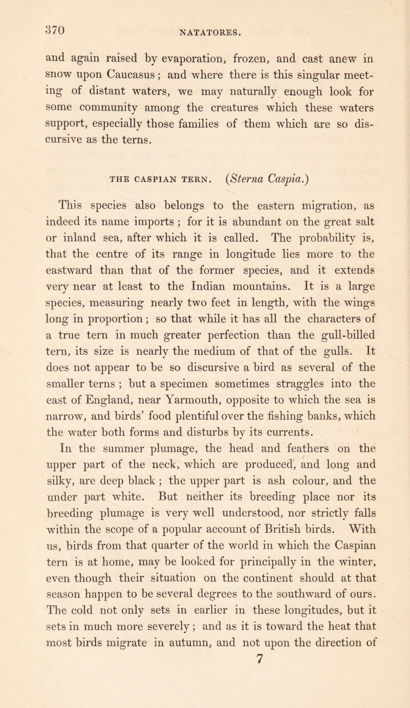 and again raised by evaporation, frozen, and cast anew in snow upon Caucasus; and where there is this singular meet¬ ing of distant waters, we may naturally enough look for some community among the creatures which these waters support, especially those families of them which are so dis¬ cursive as the terns. THE CASPIAN TERN. {Sterna Caspia.) This species also belongs to the eastern migration, as indeed its name imports ; for it is abundant on the great salt or inland sea, after which it is called. The probability is, that the centre of its range in longitude lies more to the eastward than that of the former species, and it extends very near at least to the Indian mountains. It is a large species, measuring nearly two feet in length, with the wings long in proportion; so that while it has all the characters of a true tern in much greater perfection than the gull-billed tern, its size is nearly the medium of that of the gulls. It does not appear to be so discursive a bird as several of the smaller terns ; but a specimen sometimes straggles into the east of England, near Yarmouth, opposite to which the sea is narrow, and birds’ food plentiful over the fishing banks, which the water both forms and disturbs by its currents. In the summer plumage, the head and feathers on the upper part of the neck, which are produced, and long and silky, are deep black ; the upper part is ash colour, and the under part white. But neither its breeding place nor its breeding plumage is very well understood, nor strictly falls within the scope of a popular account of British birds. With us, birds from that quarter of the world in which the Caspian tern is at home, may be looked for principally in the winter, even though their situation on the continent should at that season happen to be several degrees to the southward of ours. The cold not only sets in earlier in these longitudes, but it sets in much more severely; and as it is toward the heat that most birds migrate in autumn, and not upon the direction of 7