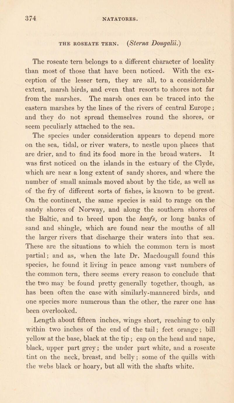 THE ROSEATE TERN. {Sterna Dougalii.) The roseate tern belongs to a different character of locality than most of those that have been noticed. With the ex¬ ception of the lesser tern, they are all, to a considerable extent, marsh birds, and even that resorts to shores not far from the marshes. The marsh ones can be traced into the eastern marshes by the lines of the rivers of central Europe; and they do not spread themselves round the shores, or seem peculiarly attached to the sea. The species under consideration appears to depend more on the sea, tidal, or river waters, to nestle upon places that are drier, and to find its food more in the broad waters. It was first noticed on the islands in the estuary of the Clyde, which are near a long extent of sandy shores, and where the number of small animals moved about by the tide, as well as of the fry of different sorts of fishes, is known to be great. On the continent, the same species is said to range on the sandy shores of Norway, and along the southern shores of the Baltic, and to breed upon the haofs, or long banks of sand and shingle, which are found near the mouths of all the larger rivers that discharge their waters into that sea. These are the situations to which the common tern is most partial; and as, when the late Dr. Macdougall found this species, he found it living in peace among vast numbers of the common tern, there seems every reason to conclude that the two may be found pretty generally together, though, as has been often the case with similarly-mannered birds, and one species more numerous than the other, the rarer one has been overlooked. Length about fifteen inches, wings short, reaching to only within two inches of the end of the tail; feet orange; bill yellow at the base, black at the tip ; cap on the head and nape, black, upper part grey; the under part white, and a roseate tint on the neck, breast, and belly; some of the quills with the webs black or hoary, but all with the shafts white.