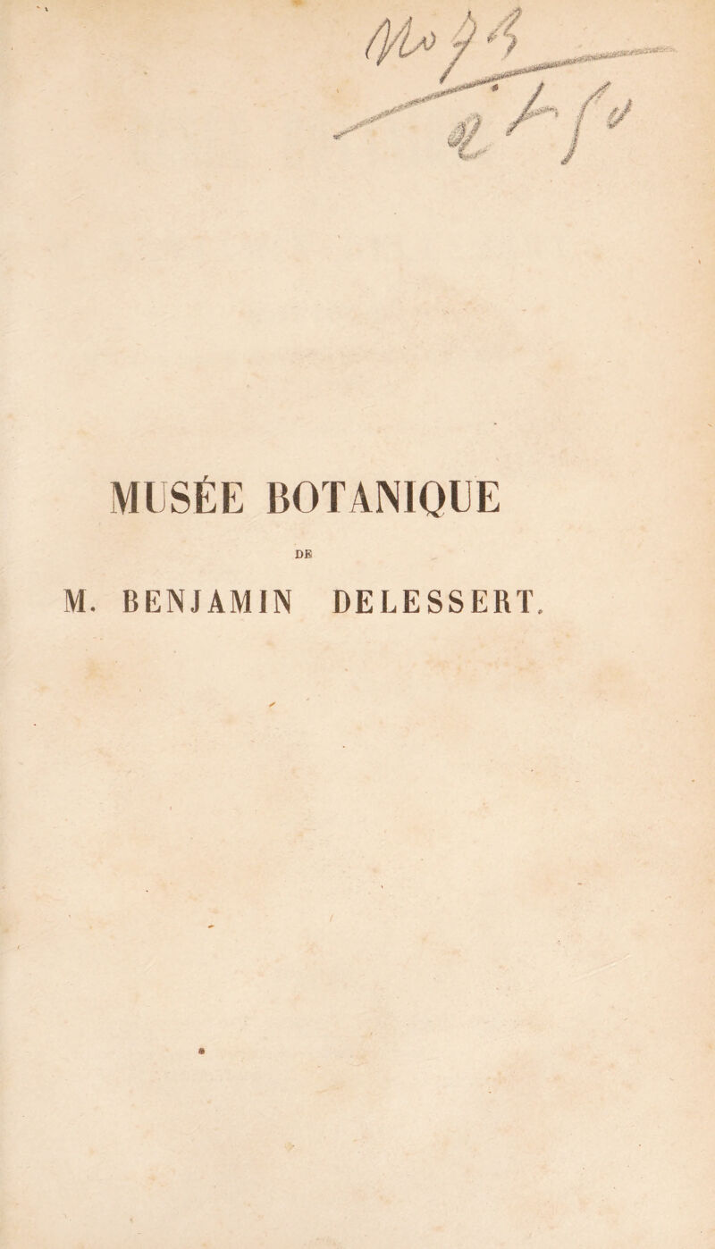 MUSÉE BOTANIQUE DE M. BENJAMIN DELESSERT