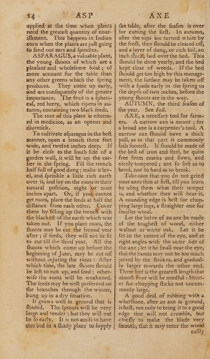 ie 44 + YaSP need the greateft quantity of nour- ifhment. to fend out ears and {pindles. ASPARAGUS, a valuable plant, the young fhoots of which area pleafant and wholefome food ; of more account for the table than any other greens which the {pring produces. They come up early, and are confequently of the greater importance. eal, red berry, which ripensin au- tumn, containing two black feeds, The root of this plant 1s efteem- ed in medicine, as an opener and diuretick. . To cultivate afparagus in the beft gnanner, open a trench three feet wide, and twelve inches deep. If it be clofe to the fouth fide of a garden wall, it will be up the ear- hier in the fpring. Fill the trench half full of good dung ; make it lev- over it, and lay on the roots in their natural pofition, eight ‘or nine inches apart. Or, if youl cannot get roots, place the feeds at half the diftance from each other. Cover them by filling up the trench with the blackefl of the earth which was taken out. If you plant roots, the fhocts may be cut the fecond year after ; if feeds, they will not be fit All the fhoots which come up before the beginning of June, may be cut off without injuring the roots: After which time, the late fhoots fhould be left to run up, and feed ; other- wife the roots will be weakened. ‘The feeds may be well preferved on hung up in adry fituation. It grows well in ground that is fhaded. The {prouts will be very large and tender ; but they will not be foearly. It is not amifs to have one bed.in a fhady place to fupply  AXE the table, after the feafon is over for cutting the firft, In autumn, after the tops are turned white by the froft, they fhould be cleared off, and a layer of dung, or rich foil, an inch thick, laid over the bed. This fhould be done yearly, and the bed kept clear of weeds. If the bed fhould get too high by this manage- with a {pade early in the {pring to oung fhoots are in the way. | AUTUMN, the third feafon of See Fall. AXE, a neceffary tool for farm- ers, A narrow axe is meant ; for a broad axe is a carpenter’s tool. A narrow axe fhould have a thick poll, asin that part it commonly fails fooneft. It fhould be made of the beft of iron and fteel, be quite free from cracks:and flaws, and nicely tempered ; not fo foft as to bend, nor fo hard as to break. Take care that you do net grind your axes thin at firft, till you learn is, and whether they will bear it. A rounding edge is beft for chope ping large logs, a ftraighter one for {maller wood. Let the helve of an axe be made of the tougheft of wood, either walnut or white oak. Let it be fet in the centre of the eye, and at right angles with the cuter fide of the axe ; let it be fmall near the eye, that the hands may not be too much ly larger towards the other end, Three feet is the greateft length that almoft éver will be needful ; Short- er for chopping {ticks not uncom- monly large. = A good deal of rubbing with a whetftone, after an axe is ground, is beft, not only to bring it toa good edge that will not crumble, but chiefly to make the blade very fmooth, that it may enter the wood eafily
