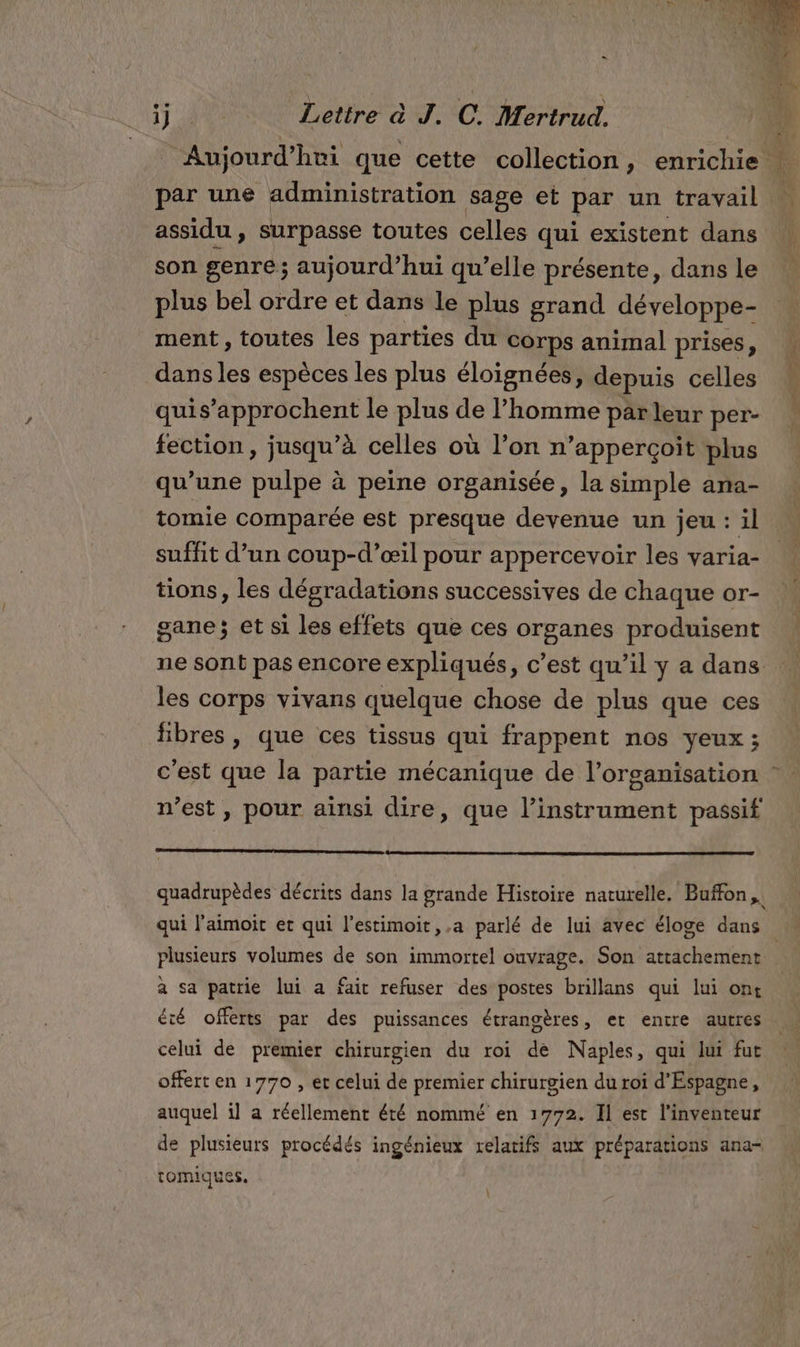 =. 117 LA Lettre à J. C. Mertrud. \ Aujourd’hui que cette collection, enrichie : par une administration sage et par un travail assidu , surpasse toutes celles qui existent dans son genre; aujourd’hui qu’elle présente, dans le plus bel ordre et dans le plus grand développe- ment , toutes les parties du corps animal prises, dans les espèces les plus éloignées, depuis celles quis’approchent le plus de l’homme parleur per- fection, jusqu’à celles où l’on n’apperçoit plus qu’une pulpe à peine organisée, la simple ana- tomie comparée est presque devenue un jeu : il suffit d’un coup-d’œil pour appercevoir les varia- tions, les dégradations successives de chaque or- gane; et si les effets que ces organes produisent ne sont pas encore expliqués, c’est qu’il y a dans les corps vivans quelque chose de plus que ces fibres, que ces tissus qui frappent nos yeux ; c'est que la partie mécanique de l’organisation : n’est, pour ainsi dire, que l’instrument passif quadrupèdes décrits dans la grande Histoire naturelle. Buffon, qui l’aimoit et qui l'estimoit,,a parlé de lui avec éloge dans plusieurs volumes de son immortel ouvrage. Son attachement. à sa patrie lui a fait refuser des postes brillans qui lui ont été offerts par des puissances étrangères, et entre autres celui de premier chirurgien du roi de Naples, qui lui fut offert en 1770 , et celui de premier chirurgien du roi d'Espagne, auquel il a réellement été nommé en 1772. Il est l'inventeur de plusieurs procédés ingénieux relatifs aux préparations ana- tomiques.