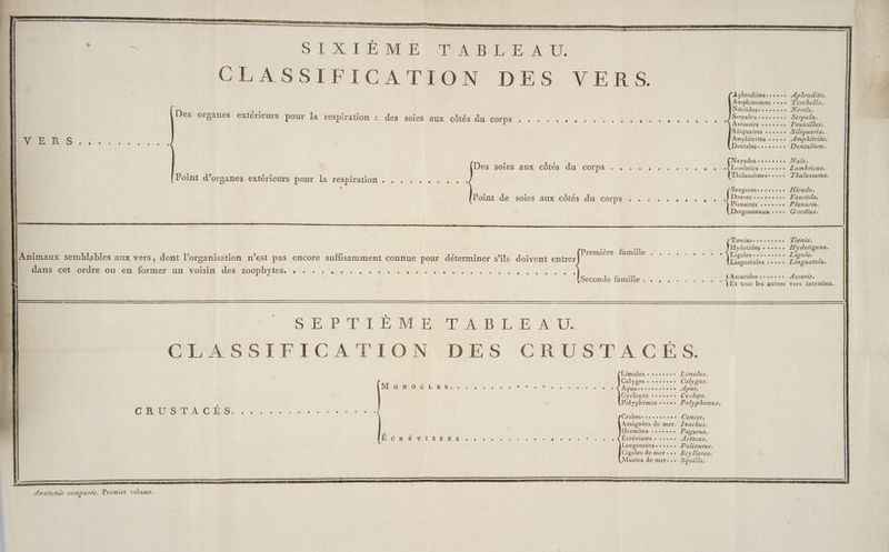 | EU SI X LENCE ABLE AU. ro) | CLASSIFICATION DES VERS. 7 À Aphrodites..... Aphrodita. É. . Amphinomes +++. T'erebella. ; Néréides.essssee Nereïs. l 4224 e . ; 3 Des organes extérieurs pour la respiration : des soies aux côtés du corps . . . . . . . . . AA ORREES Lan AE Ua mn à É 7 te ESS PARAENTE Arrosoirs see Penicillus. 3 Siliquaires se... Siliquaria. fi Amphitrites «+... _Amphitrite. 4 E R S M PR NE er st mi ee | Dentalese..sss.. Dentalium. °£ Lombrics cesse Lumbricus. : Nayades-eseose Naïs. Destsoies aux côtés dut corps PEER Thalassèmeseesse T'halassema. Point d’organes extérieurs pour la respiration . , Sangsueseessssse Airudo. Point de soies aux côtés du corps . . . . . . . . , . .]Douves-........ Fasciola. Planaires cesse Planaria. Dragonneaux .... Gordius. Hydatides - «.... Æydatigena. Ligules RTE Lipula. Linguatules «+... Linguatula. À 1% ] : N HE à Me 0 k s | Première famille . . . Animaux semblables aux vers, dont l’organisation n’est pas encore suffisamment connue pour déterminer s'ils doivent entrer) OU ae un woisut desiizoophytess:. 8. EUR ENT ARR SU Re At Ascarides sesvvee ÆAscaris. Et tous les autres vers intestins, qu soso... Tœnia. (Seconde famille . . sie NE { SUP A PA RS AM DORA AR AN D RE A CA CMOS TEICATIONLDES CRUSTACÉS. Limules + s.s6.. Zimulus. : Calyges + ses... Calygus. NMAORNIO C\L KR s 7 e e e e e e eo ® L e L LU e D LU L e e e. Apugessserses.e Apus. Cyclopes *+..+°+ Cyclops Polyphèmes +..++ Polyphemus. RTE EN NA TQU Es, CAP RNA Re Ne Crabeseess.e..s. Cancer. Araignées de mer. Znachus. Hermites +.... +. Pagurus. FJCIRÉREVAT IS SUBI LS US MU TETE ee MT CRE ÉTTEUIS ES DEA TRES Langoustes.-+... Palinurus. Cigales de mer... Scyllarus. Mantes de mer... Squilla.