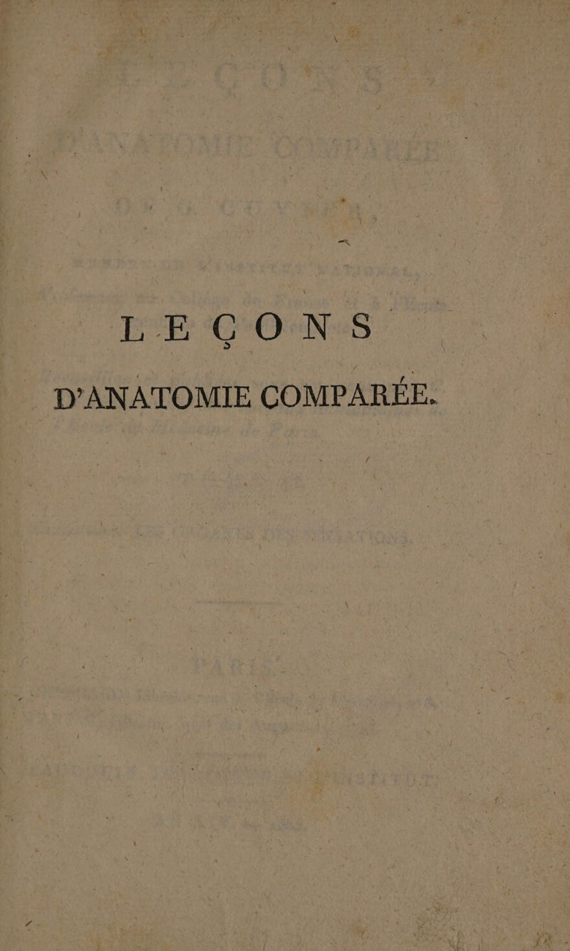 a je DE GONE 7 D'ANATOMIE COMPARÉE.