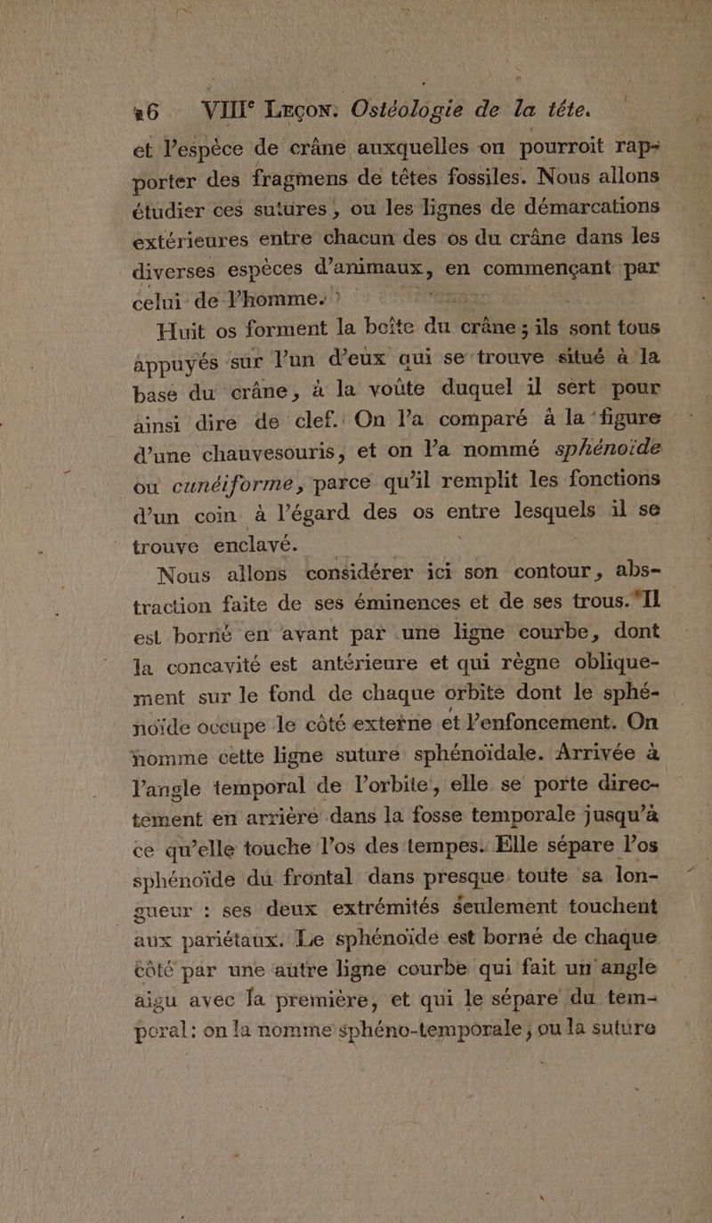 et lespèce de crâne auxquelles on pourroit rap porter des fragmens de têtes fossiles. Nous allons étudier ces sutures , ou les lignes de démarcations extérieures entre chacun des os du crâne dans les diverses espèces d'animaux, en ME vo ‘par celui de Vhomme. ar eec Huit os forment la boîte a crâne ; ils sont tous appuyés ‘sur Van d'eux aui se’ tro situé à la basé du crâne, à la voûte duquel il sert pour ainsi dire de clef. On l’a comparé à la ‘figure d’une chauvesouris, et on l’a nommé sphénoide _ ou cunéiforme, parce qu'il remplit les fonctions d’un coin à l’égard des os entre lesquels il se trouve enclavé. Nous allons considérer ici son contour, abs- traction faite de ses éminences et de ses trous.Il est borné en avant par une ligne courbe, dont la concavité est antérieure et qui règne oblique- ment sur le fond de chaque orbite dont le sphé- noïde occupe le côté externe et l’enfoncement. On nomme cette ligne suture sphénoïdale. Arrivée à l'angle temporal de lorbite, elle se porte direc- tement en arrière dans la fosse temporale jusqu’à ce qu’elle touche los des tempes.: Elle sépare los sphénoïde du frontal dans presque toute sa lon- gueur : ses deux extrémités seulement touchent aux pariétaux. Le sphénoïde est borné de chaque côté par une autre ligne courbe qui fait un angle aigu avec fa première, et qui le sépare du tem- poral: on la nomme sphéno-temporale ; ou la suture