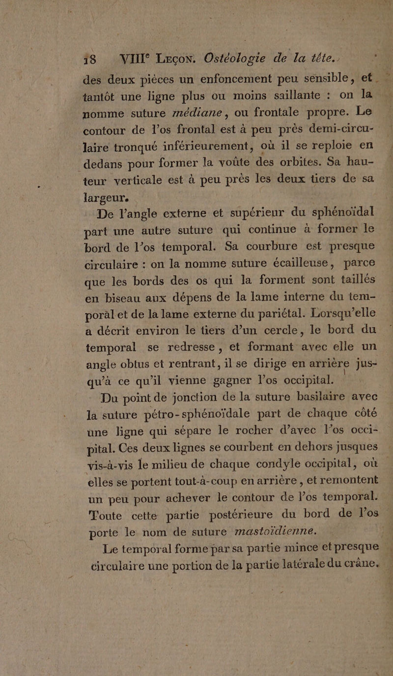 des deux pièces un enfoncement peu sensible, et. tantôt une ligne plus ou moins saillante : on la nomme suture z7édiane , ou frontale propre. Le contour de l'os frontal est à peu près demi-circu- Jaire tronqué inférieurement, où il se reploie en dedans pour former la voûte des orbites. Sa hau- teur verticale est à peu près les deux tiers de sa largeur. De l'angle externe et supérieur du sphénoïdal part une autre suture qui continue a former le bord de l’os temporal. Sa courbure est presque circulaire : on la nomme suture écailleuse, parce que les bords des os qui la forment sont taillés en biseau aux dépens de la lame interne du tem- poral et de la lame externe du pariétal. Lorsqu'elle _a décrit environ le tiers d’un cercle, le bord du temporal se redresse , et formant avec elle un angle obtus et rentrant, il se dirige en arrière jus- qu’à ce qu'il vienne gagner l'os occipital. Du point de jonction de la suture basilaire avec la suture pétro-sphénoïdale part de chaque côté une ligne qui sépare le rocher d'avec l'os occi- pital. Ces deux lignes se courbent en dehors jusques vis-à-vis le milieu de chaque condyle occipital, où elles se portent tout-à-coup en arrière, et remontent un peu pour achever le contour de Pos temporal. Toute cette partie postérieure du bord de l'os porte le nom de suture mastoïdienne. | Le temporal forme par sa partie mince et presque circulaire une portion de la partie latérale du crane.