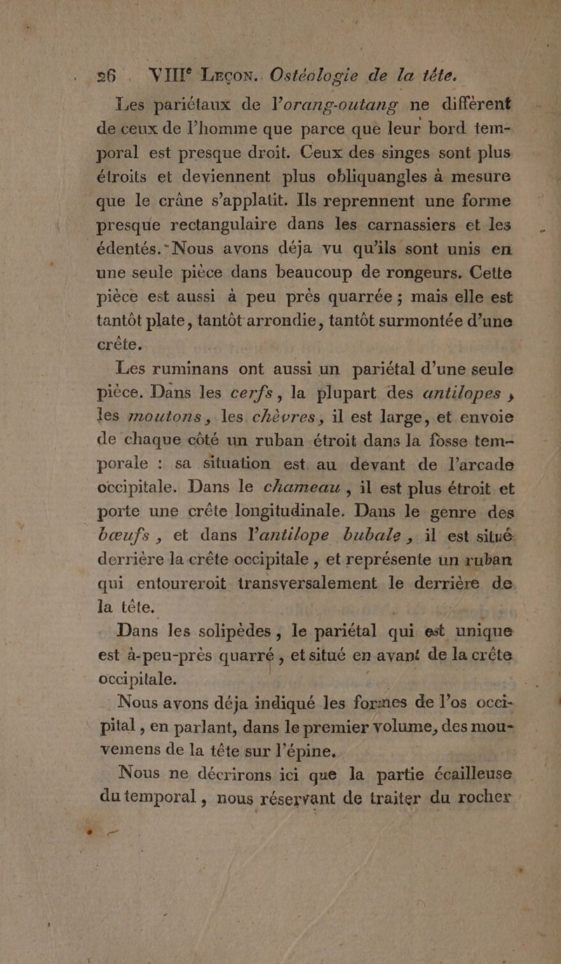 Les pariétaux de l’orang-outang ne différent de ceux de l’homme que parce que leur bord tem- poral est presque droit. Ceux des singes sont plus étroits et deviennent plus obliquangles à mesure que le crâne s’applatit. Ils reprennent une forme presque rectangulaire dans les carnassiers et les _édentés.” Nous avons déja vu quäls sont unis en une seule pièce dans beaucoup de rongeurs. Cette pièce est aussi à peu près quarrée ; mais elle est tantôt plate, tantôt arrondie, tantôt surmontée d’une crête. Les ruminans ont aussi un pariétal d’une seule pièce, Dans les cerfs, la plupart des antilopes , les moutons, les chèvres, il est large, et envoie de chaque côté un ruban étroit dans la fosse tem- porale : sa situation est au dévant de l’arcade occipitale. Dans le chameau , il est plus étroit et porte une crête longitudinale, Dans le genre des | bœufs , et dans l’antilope bubale , il est situé: derrière la crête occipitale , et représente un ruban qui entoureroit transversalement le derrière de la tête. Dans les solipèdes , le Dériétal de qui pt: unique est à-peu-près quarré , Ctsitué en KENATÉ de la crête occipitale. Nous ayons déja indiqué les formes de los occi- pital , en parlant, dans le premier volume, des mou- vemens de la tête sur l’épine, | Nous ne décrirons ici que la partie écailleuse du temporal , nous réservant de traiter du rocher Put