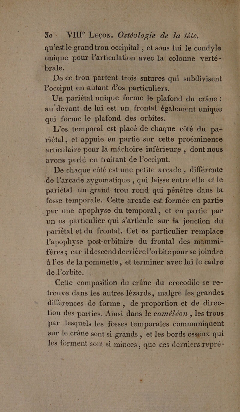 qu’est le grand trou occipital , et sous lui le condyle unique pour l'articulation avec la colonne verté- brale. à De ce trou DÉLESNL trois sutures qui subdivisent l’occiput en autant d'os particuliers. : Un pariétal unique forme le plafond du crâne : au devant de lui est un frontal également unique qui forme le plafond des orbites. L'os temporal est placé de chaque côté ai pa- riétal, et appuie en partie sur cette proéminence articulaire pour la mâchoire inférieure , dont nous avons parlé en traitant de l’occiput. De chaque côté est une petite arcade , différente de l’arcade zygomatique , qui laisse entre elle et le pariétal un grand trou rond qui pénètre dans la fosse temporale. Cette arcade est formée en partie par une apophyse du temporal, et en partie par un os particulier qui s’articule sur la jonction du pariétal et du frontal. Cet os particulier remplace Papophyse post-orbitaire du frontal des mammi- fères ; car ildescend derrière l’orbite pour se joindre à l’os de la pommette, et terminer avec lui le cadre de l'orbite. Cette composition du crâne du crocodile se re- trouve dans les autres lézards, malgré les grandes différences de forme , de proportion et de direc- tion des parties. Ainsi dans le caméléon , les trous par lesquels les fosses temporales comment sur le crâne sont si grands , et les bords osseux qui les forment sont si minces &gt; que ces derniers repré-