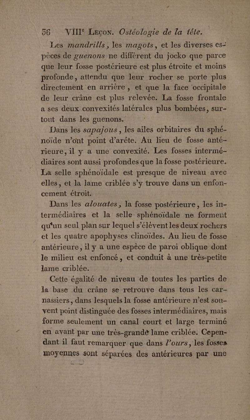 À 56 VIII Leçon. Ostéologie de la tête. Les rnandrills, les magots, et les diverses es- pèces de guenons ne différent du jocko que parce que leur fosse postérieure est plus étroite et moins profonde, attendu que leur rocher se porte plus . directement en arrière , et que la face occipitale de leur crâne est plus relevée. La fosse frontale a ses deux convexités latérales plus bombées, sur- tout dans les guenons. | Dans les sapajous , les aïles orbitaires du sphé- noïde n’ont point d’arête. Au lieu de fosse anté- rieure, il y a une convexité. Les fosses intermé- diaires sont aussi profondes que la fosse postérieure. La selle sphénoïdale est presque de niveau avec elles, et la lame criblée s’y trouve dans un eénfon- cement étroit. Dans les alouates, la fosse postérieure, les in- termédiaires et la selle sphénoïdale ne forment qu'un seul plan sur lequel s’élévent les deux rochers et les quatre apophyses clinoïdes. Au lieu de fosse antérieure, il y a une espèce de paroi oblique dont le milieu est enfoncé, et conduit à une très-petite lame criblée. | Cette égalité de niveau de toutes les parties de la base du crâne se retrouve dans tous les car- nassiers, dans lesquels la fosse antérieure n’est sou- vent point distinguée des fosses intermédiaires, mais forme seulement un canal court et large terminé en avant par une très-grande lame criblée. Cepen- dant il faut remarquer que dans l’ours, les fosses moyennes sont séparées des antérieures par une