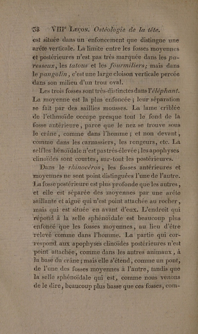 est située dans un enfoncement que distingue une ‘arête verticale. La limite entre les fossés moyennes et postérieures n’est pas très. marquée dans les pa- resseux, les tatous'et les fourmiliers; maïs dans le pangolin, c’est une large cloison verticale percée dans son milieu d’un trou oval. Les trois fosses sont très-distinctes dans éléphant. La moyenne est la plus enfoncée ; leur séparation se fait par des saillies mousses. La lame ‘criblée de l’ethmoïde occupe presque tout le fond de la fosse antérieure , parce que le nez se trouve sous le crâne, comme dans l’homme ; et non devant, comme dans les carnassiers, les rongeurs, etc. La selfles hénoïdale n’est pastres-élevée; Iesapophyses clinoïdés sont courtes, sur-tout les postérieures. Dans le ER DO DE , les fosses antérieures et moyermes ne sont point distinguées l’une de l’autre. : Ta fosse postérieure est plus profonde que les autres, et elle est séparée des moyennes par une arêté saillante et aiguë qui n’est point attachée au rocher, mais qui est située en avänt d'eux. L'endroit qui répond à la selle sphénoïdale est beaucoup plus enfoncé que les fosses moyennes, au lieu d’être relevé comme dans l’homme. La partie qui cor- respord aux apophyses clinoïdes postérieures n’est point attachée, comme dans les autres animaux, à Ja base du crâne ; maïs elle s'étend, comme un pont, de l’une des fosses moyennes à l’autre, tandis qué la selle sphénoïdale qui est, comme nous venons de le dire, beaucoup plus basse que ces fosses, com-