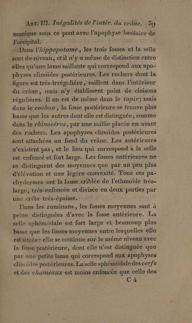 munique sous cé pont avec l’apophyse basilaire de Poccipital. | 122 «Dans l’Aippopotame , les trois fosses et la selle sont de niveau, etil n’y a même de distinction entre: elles qu’une lame saillante qui correspond aux apo- physes clinoïdes postérieures. Les rochers dont la figure est très-irrégulière , saillent dans l’intérieur du crâne, mais n’y établissent point de cloisons régulières. Il en est de mème dans le apir; mais dans le cochon ; la fosse postérieure se trouve plus basse que les autres dont elle est distinguée, comme dans le rAinocéros, par une saillie placée en avant des rochers. Les apophyses clinoïdes postérieures sont attachées au fond du crâne. Les antérieures w’existent pas, et le lieu qui correspond à la selle est enfoncé et fort large. Les fosses antérieures ne se distinguent des moyennes que par un peu plus d’élévation et une légère convexité. T'ous ces pa- chydermes ont la lame criblée de l’ethmoïde trés- large, très-enfoncée et divisée en deux parties par une crête très-épaisse. Dans les ruminans , les fosses moyennes sont à peine distinguées d'avec la fosse antérieure. La selle sphénoïdale est fort large et beaucoup plus basse que les fosses moyennes entre lesquelles elle est située : elle se continue sur le même niveau avec la fosse postérieure, dont elle n’est distinguée que par une petite lame qui correspond aux apophyses clinoïdes postérieures. La selle sphénoïdale des cerfs et des chameaux est moins enfoncée que celle des