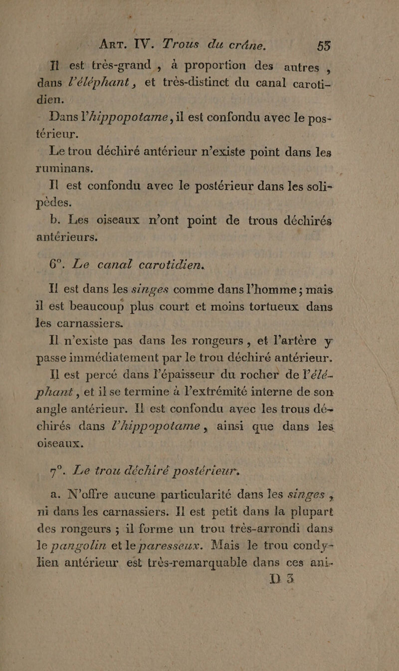 Ai ART. IV. Trous du cräne. 53 Il est très-grand , à proportion des autres , dans l’éléphant, et très-distinct du canal caroti- dien. Dans l’Aippopotame, il est confondu avec le pos- térieur. Le trou déchiré antérieur n’existe point dans les ruminans. IL est confondu avec le postérieur dans les soli- pèdes. b. Les oïseaux m'ont point de trous déchirés antérieurs. | 6°. Le canal carotidien. I! est dans les singes comme dans l’homme ; mais il est beaucoup plus court et moins tortueux dans les carnassiers. Il n'existe pas dans les rongeurs , et l’artère y passe immédiatement par le trou déchiré antérieur. Il est percé dans l'épaisseur du rocher de l’é/é- plant , et ilse termine à l’extrémité interne de son angle antérieur. Il est confondu avec les trous dé- chirés dans /’hzppopotame , aïinsi que dans les oiseaux. | 7°. Le trou déchiré postérieur. a. N'offre aucune particularité dans les singes, ni dans les carnassiers. Il est petit dans la plupart des rongeurs ; il forme un trou très-arrondi dans le pangolin et le paresseux. Maïs le trou condy- lien antérieur est très-remarquable dans ces ani-