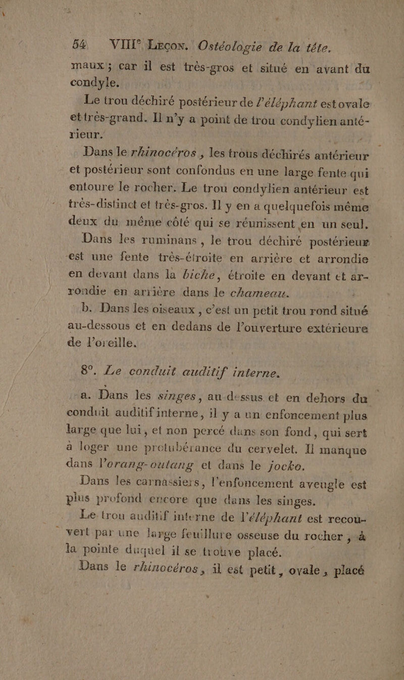 maux; car il est très- -gros et situé en avant du condyle. Le trou déchiré postérieur de /’é/éphant est ovale ettres- grand. Il n’y à point de trou condylen anté- rieur. | | Dans le rhinocéros , les trous déchirés antérieur et postérieur sont confondus en une large fente qui entoure le rocher. Le trou condylien antérieur est trés-distinct et très-gros. Il y en a quelquefois même deux du même côté qui se réunissent en un seul, Dans les ruminans , le trou déchiré postérieur “est une fente très-étroite en arrière et arrondie en devant dans la biche, étroite en devant et ar- rondie en arrière dans le chameau. :b. Dans les oiseaux , c’est un petit trou rond situé au-dessous ét en dedans de l’ouverture extérieure de l'oreille. 8°. Le conduit auditif interne. ‘a. Dans les singes, au-dessus et en dehors du conduit auditif interne, il y a un enfoncement plus large que lui, et non percé duns son fond, qui sert a loger une protuübérance du cervelet, 1 manque dans loranp- outang el dans le jocto. Dans les carnassiers, l' enfoncement aveugle est plus profond encore que dans les singes. Le. {rou auditif interne de l'éléphant est recou- vert par une large feuillure osseuse du rocher ; à la pointe duquel il se trouve placé, Dans le rhinocéros, il est petit, ovale, placé