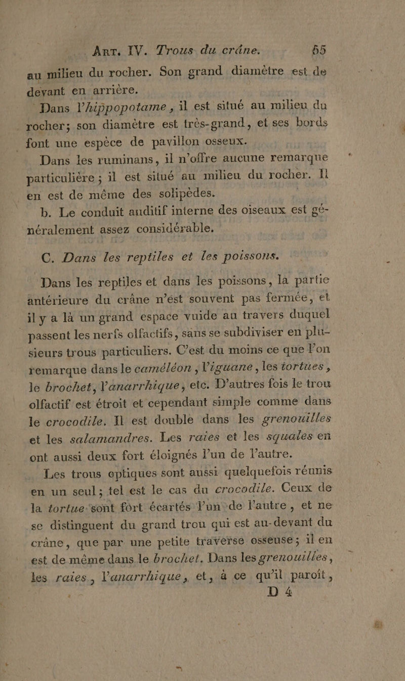 au milieu du rocher. Son grand diamètre est de devant en arrière. Dans l’hippopotame , il est situé au milieu du rocher; son diamètre est très-grand, et ses bords font une espèce de pavillon osseux. Dans les ruminans, il n'offre aucune remarqne particulière ; 1l est situé au milieu du rocher. Il b. Le conduit auditif interne des oiseaux est gé- néralement assez considérable, C. Dans Les reptiles et les poissons. Dans les reptiles et dans les poissons, la partie antérieure du crâne nést souvent pas fermée, et il y a là un grand espace vuide au travers duquel _ passent les nerfs olfachfs, sans se subdiviser en plu- sieurs trous particuliers. C’est du moins ce que lon remarque dans le caméléon , l’iguane, les tortues, le brochet, l'anarrhique, ete. D'autres fois le trou le crocodile. Il est double dans les grenouilles et les salamandres. Les raies et les squales en ont aussi deux fort éloignés l’uu de l’autre. se distinguent du grand trou qui est au-devant du crâne, que par une petite traverse osseuse; il en est de même dans le brochet. Dans les grenouilles, ' , s qihos g les raies, l’'anarrhique, et, à ce qu'il paroït, | D 4 #3