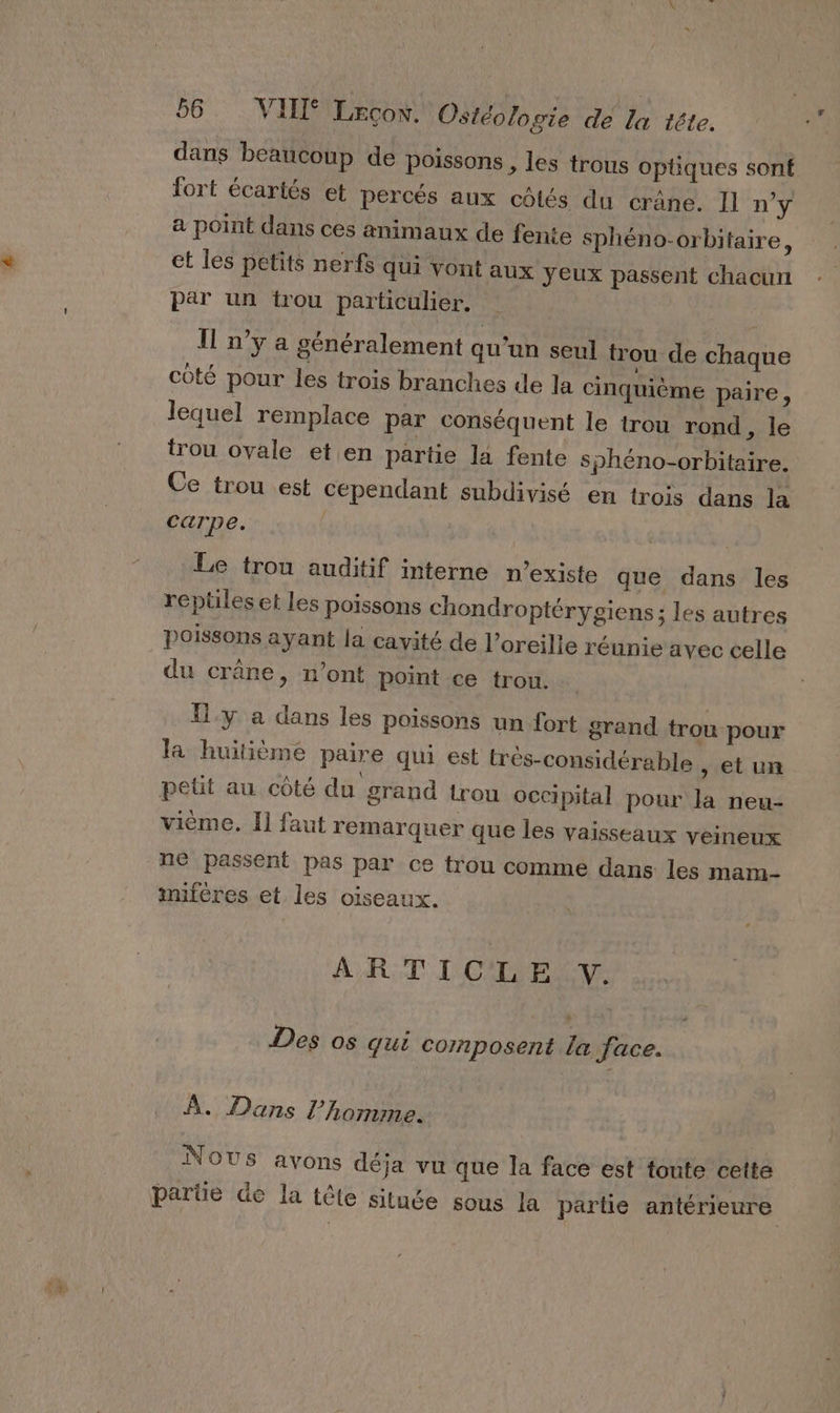 dans beaucoup de poissons , les trous optiques sont fort écartés et percés aux côtés du crâne. Il n’y a point dans ces animaux de fente sphéno-orbitaire, et les petits nerfs qui vont aux yeux passent chacun par un trou particulier, | T1 n’y a généralement qu'un seul trou de chaque côté pour les trois branches de la cinquième paire, lequel remplace par conséquent le trou rond, le trou ovale et en partie la fente sphéno-orbitaire. Ce trou est cependant subdivisé en trois dans la carpe. | Le trou auditif interne n’existe que dans les reptiles et les poissons chondroptérygiens; les autres poissons ayant la cavité de l'oreille réunie avec celle du crâne, n’ont point ce trou. {y a dans les poissons un fort grand trou pour la huitième paire qui est trés-considérable , etun petit au côté du grand trou occipital pour la neu- vième. Ïl faut remarquer que les vaisseaux veineux ne passent pas par ce trou comme dans les mam- imiféres et les oiseaux. ARTICLE V. Des os qui composent la face. À. Dans l’homme. Nous avons déja vu que la face est toute cette parüe de la tête situe sous la partie antérieure