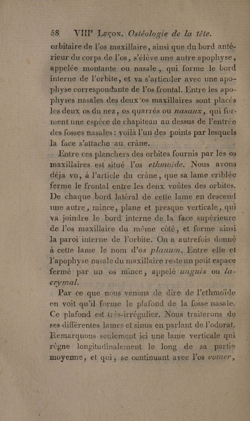 orbitaire de los maxillaire, ainsi que du bord anté- rieur du corps de l’os, s’élève une autre apophyse, appelée montante ou nasale, qui forme le bord interne de l’orbite, et va s’articuler avec une apo- physe correspondante de los frontal. Entre les apo- physes nasales des deux'os maxillaires sont placés les deux os du nez, os quarrés où zasaux, qui for- ent une espèce de chapiteau au dessus de l'entrée des fosses nasales : voila l’un des points par lesquels la face s’attache au crane. | Entre ces planchers des orbites fournis par les os maxillaires est situé Vos etmnoide. Nous avons déja vu, à l’article du crâne, que sa lame criblée ferme le frontal entre les deux voûtes des orbites. De chaque bord latéral de cetie lame en descend une autre, mince, plane et presque verticale, qui va joindre le bord interne de la face supérieure de l’os maxillaire du même côté, et forme ainsi la paroï interne de l'orbite. On a autrefois donné a cette lame le nom d’os planuim. Entre elle et l'apophyse nasale du maxillaire reste un petit espace fermé par un os mince, appelé urngUis Où la- crymal. Par ce que nous venons Ÿ dire de l’ethmoide on voit qu'il forme le plafond de la fosse nasale, Ce plafond est très-irrégulier. Nous traiterons de ses différentes lames et sinus en parlant de l’odorat, Remarquons seulement ici une lame verticale qui règne longitudinalement le long de sa parte moyenne, et qui, se continuant avec l'os vorner,